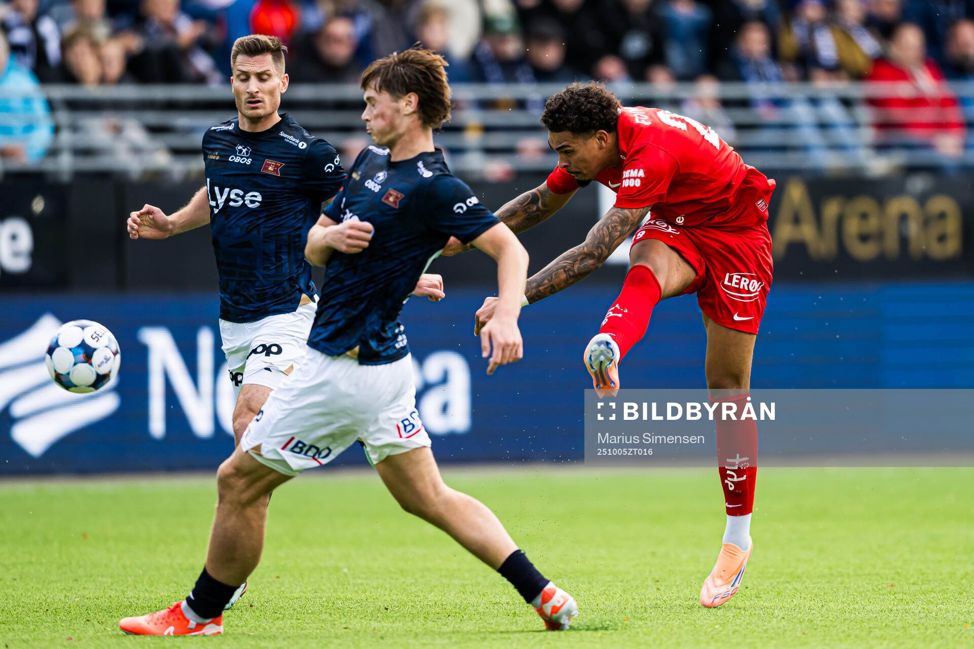 Noah Jean Holm of Brann