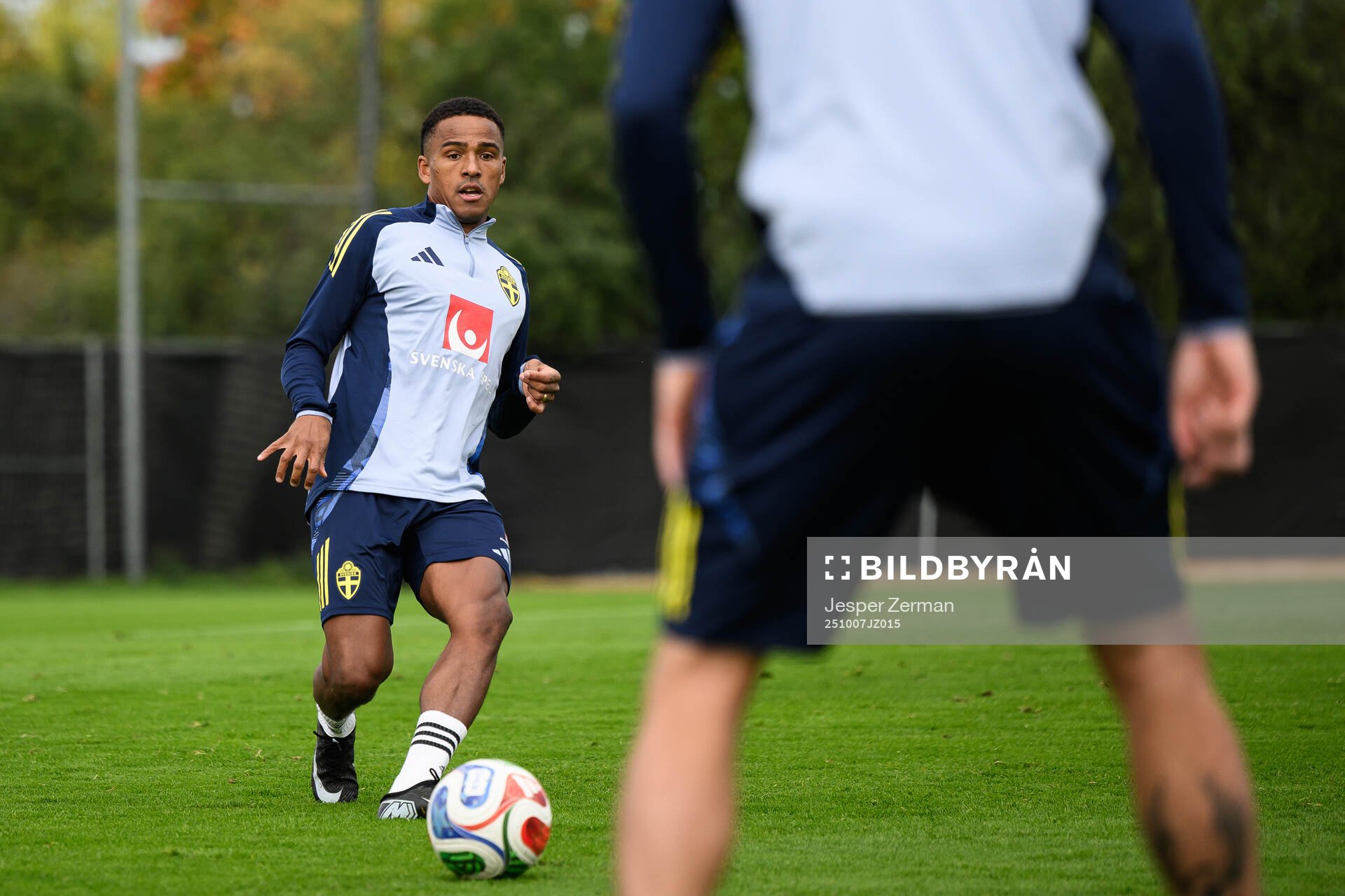 Niclas Eliasson of the Swedish men's national football team