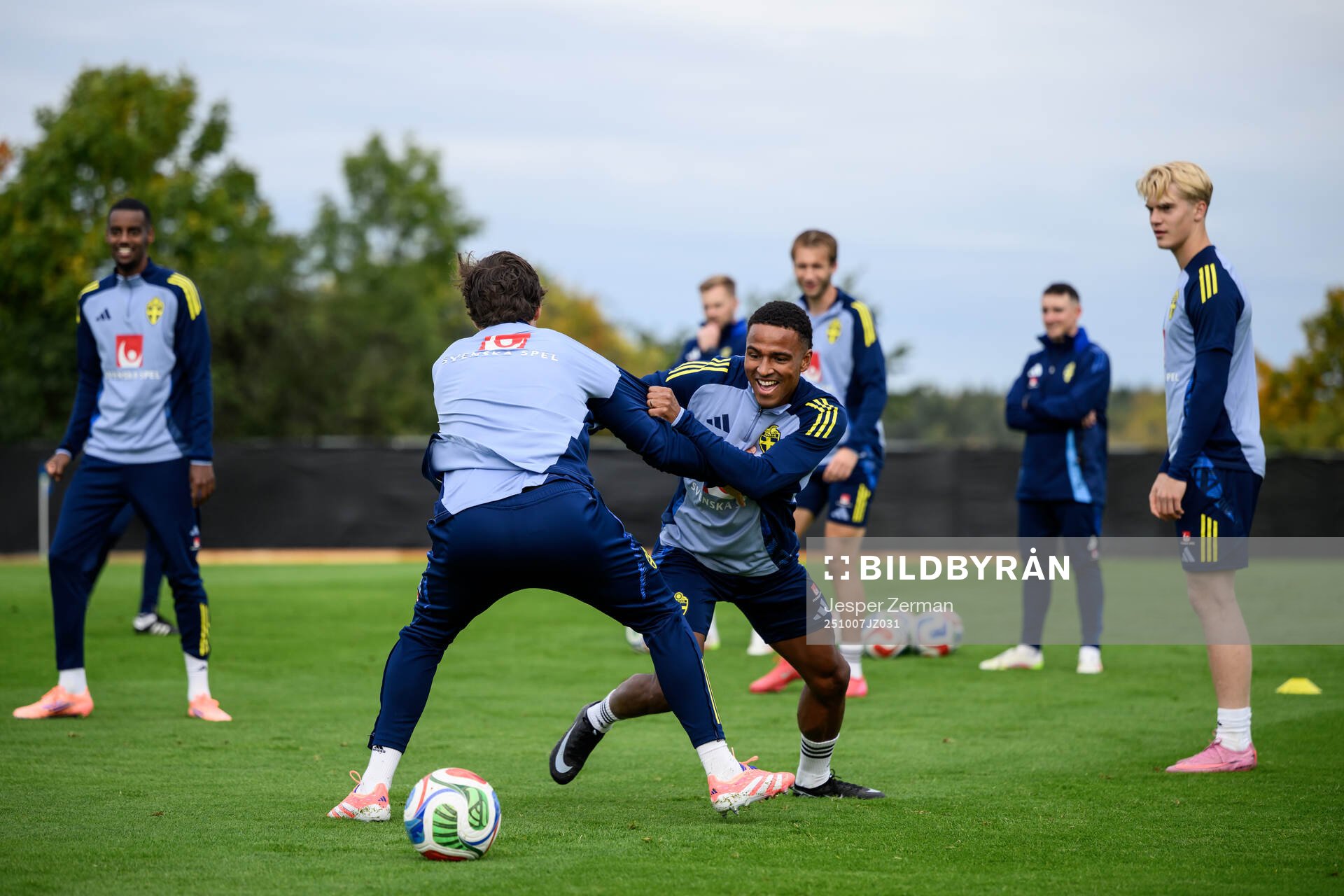 Niclas Eliasson of the Swedish men's national football team