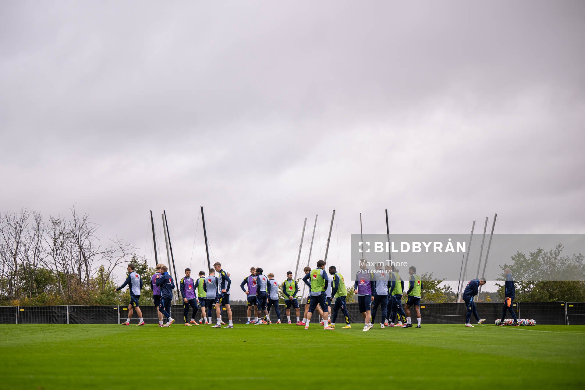 The players of the Swedish men's national football team