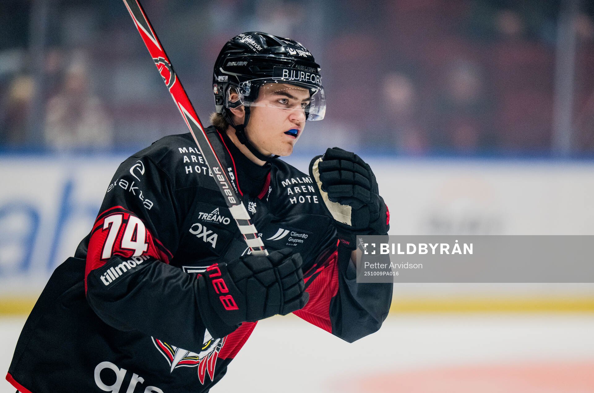 Malmö Redhawks Felix Carell