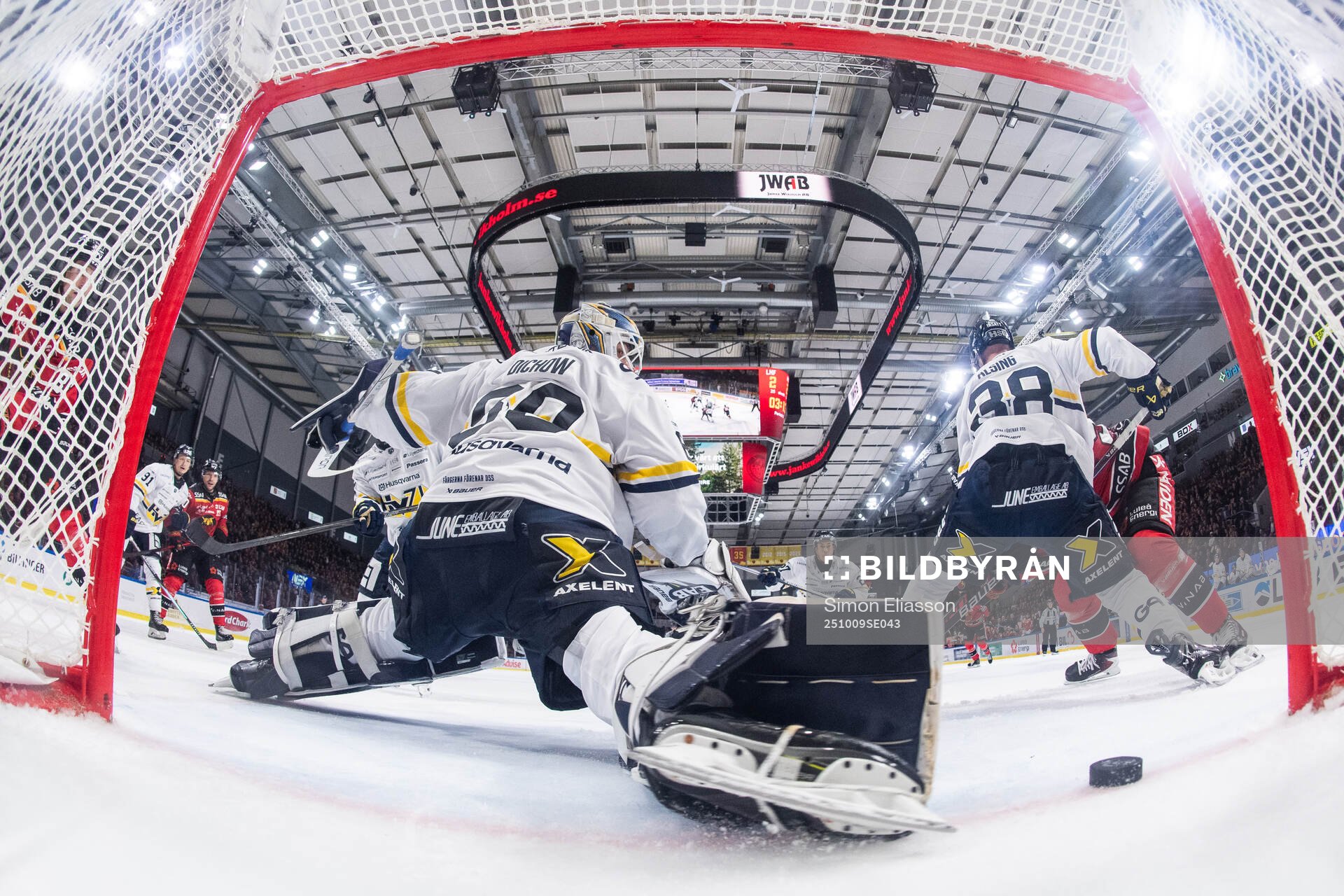 HV71s målvakt Frederik Dichow