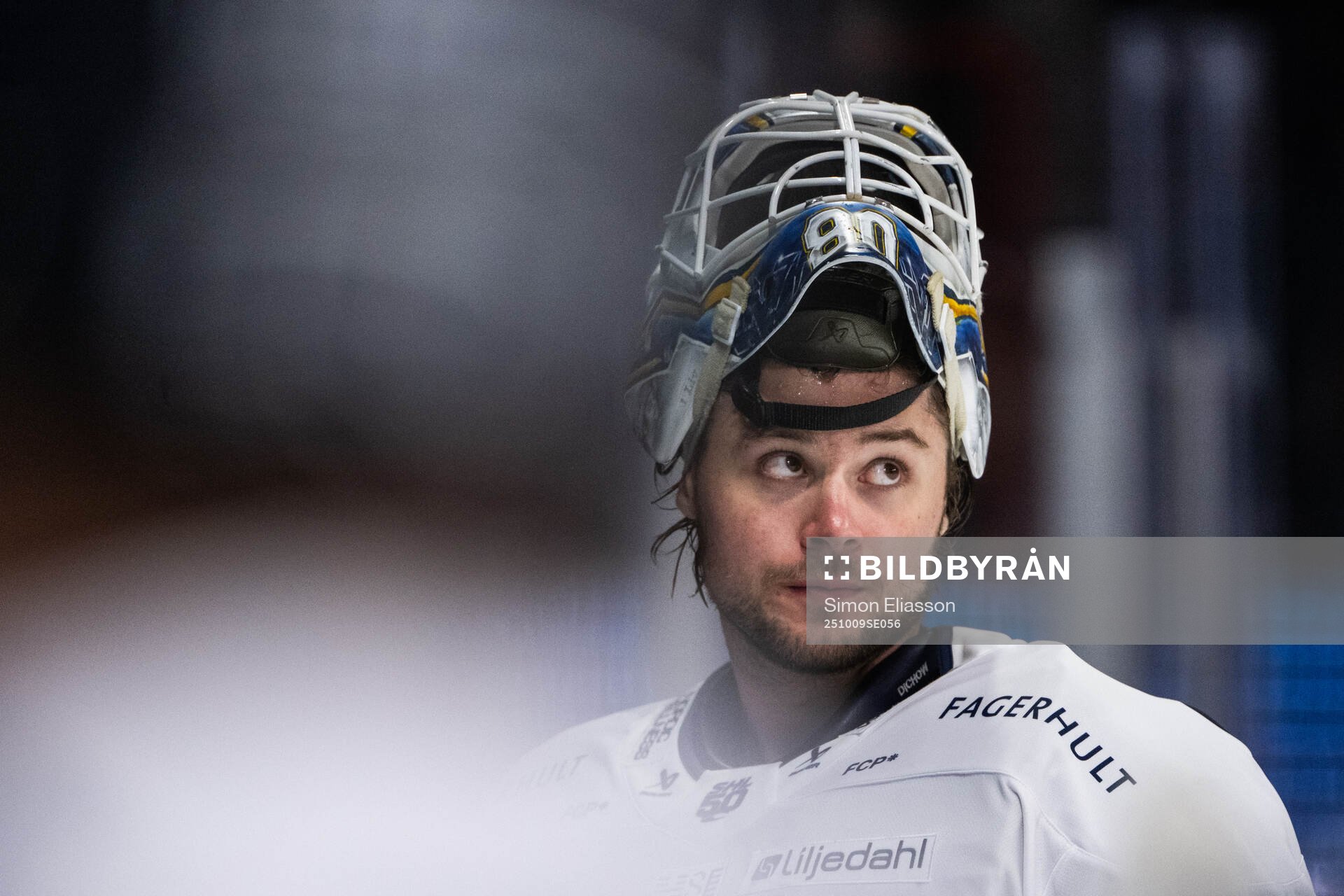 HV71s målvakt Frederik Dichow