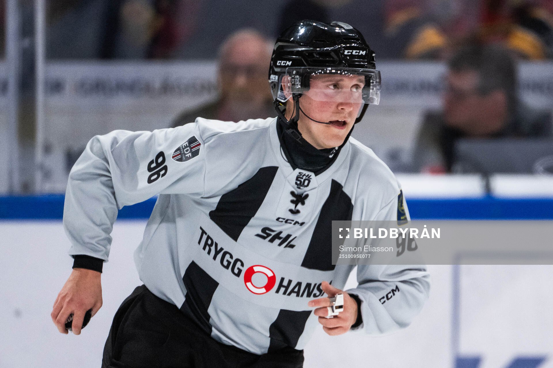 Linjedomare Niclas Westman
