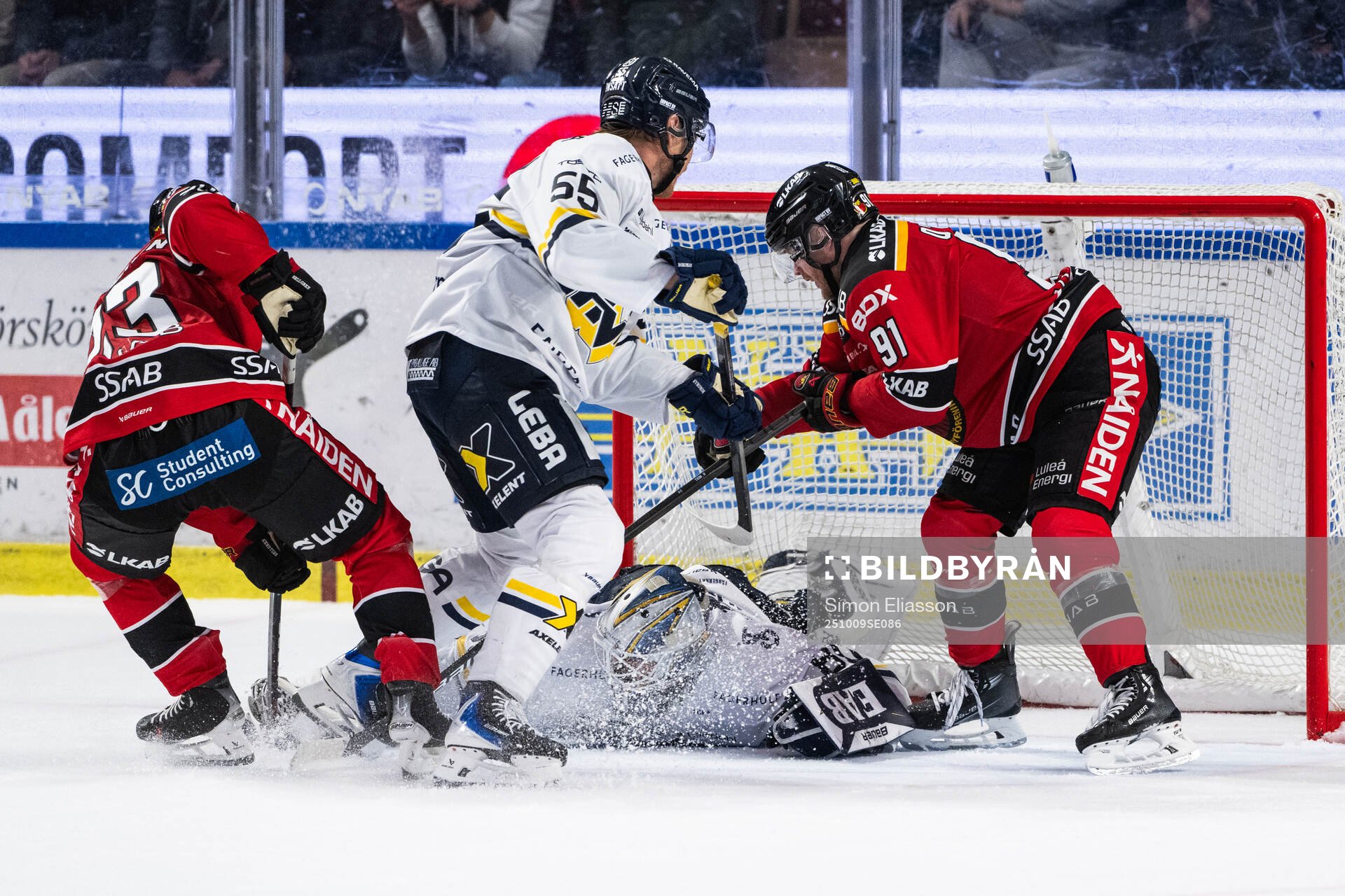 HV71s målvakt Frederik Dichow