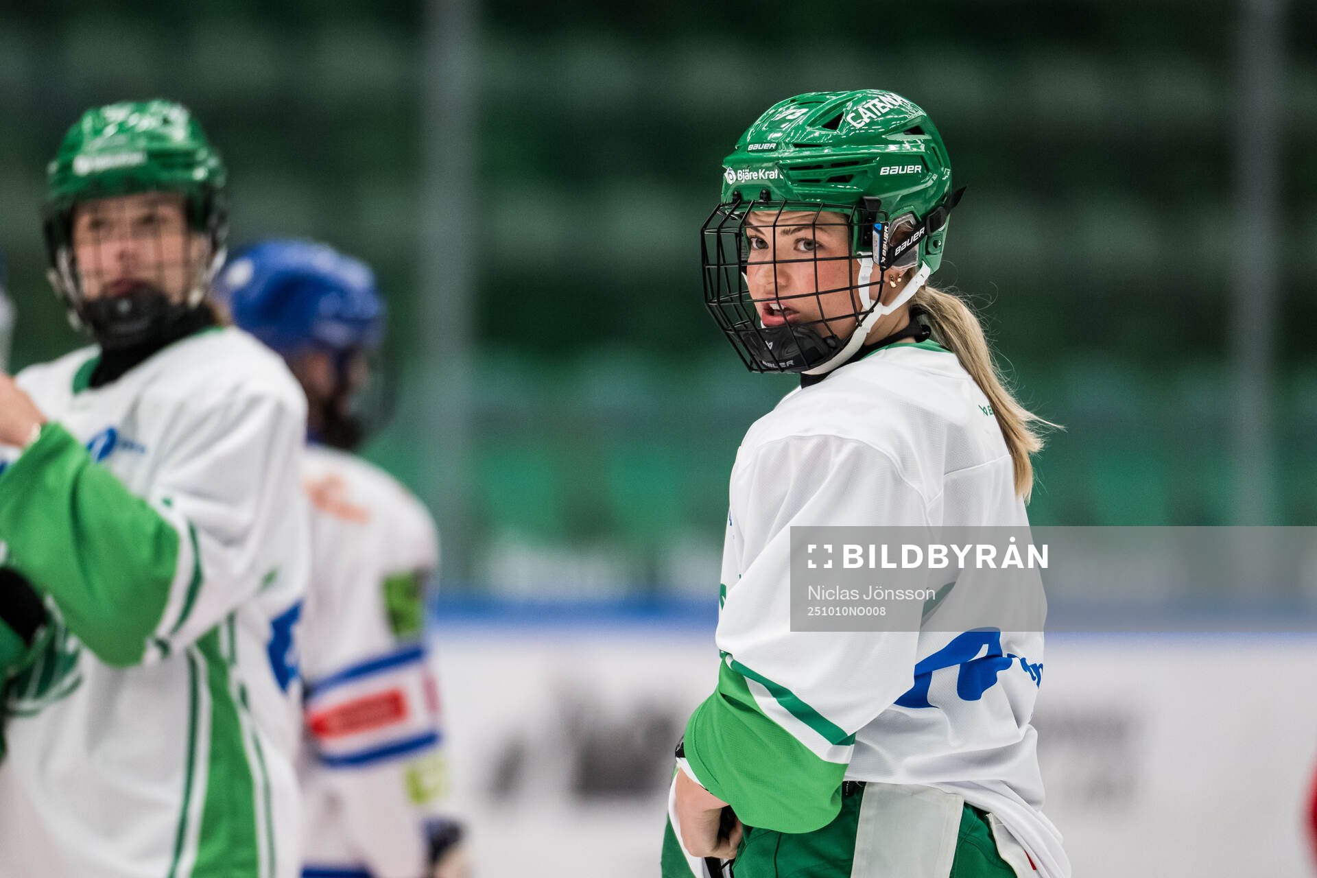 Rögles Cassidy Maplethorpe