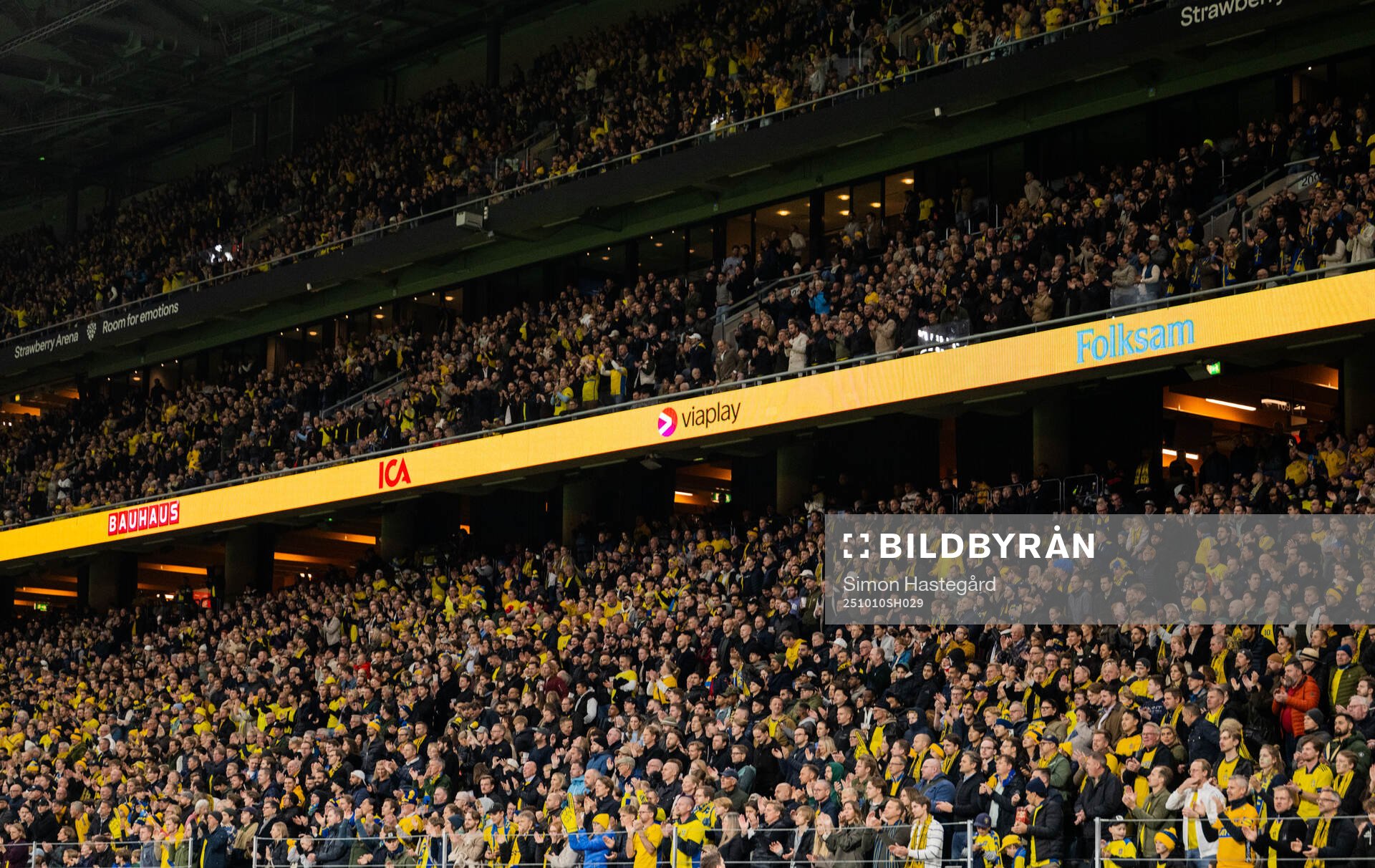 Fans of Sweden