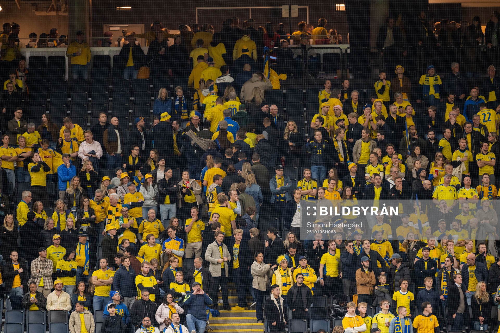 Fans of Sweden