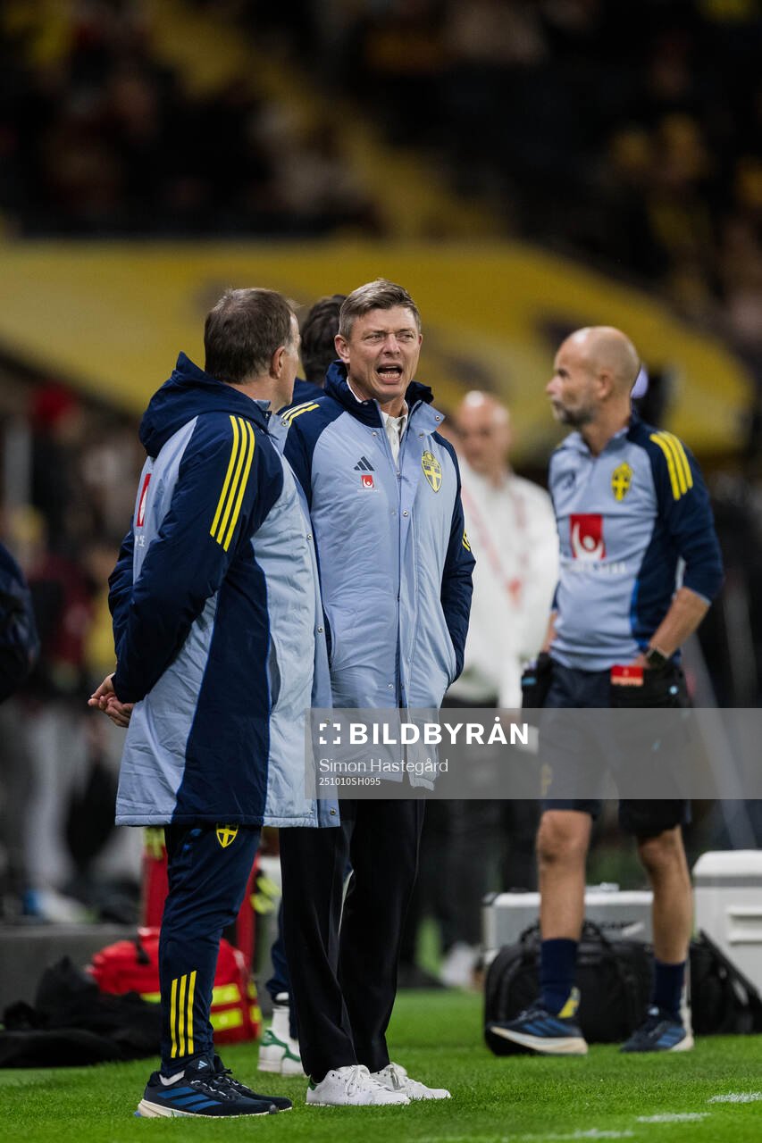 Head coach Jon Dahl Tomasson of Sweden
