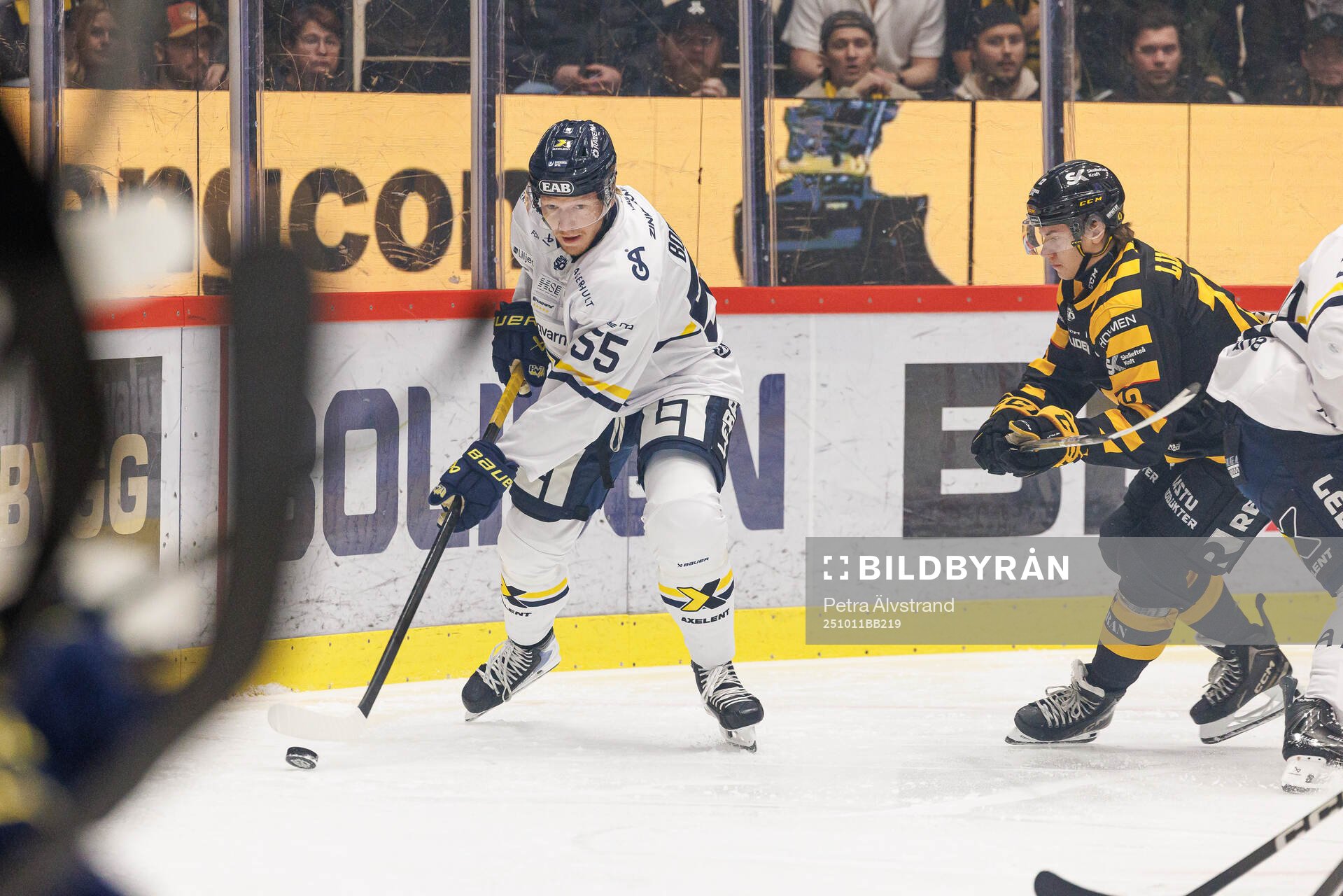 HV71s Andreas Borgman