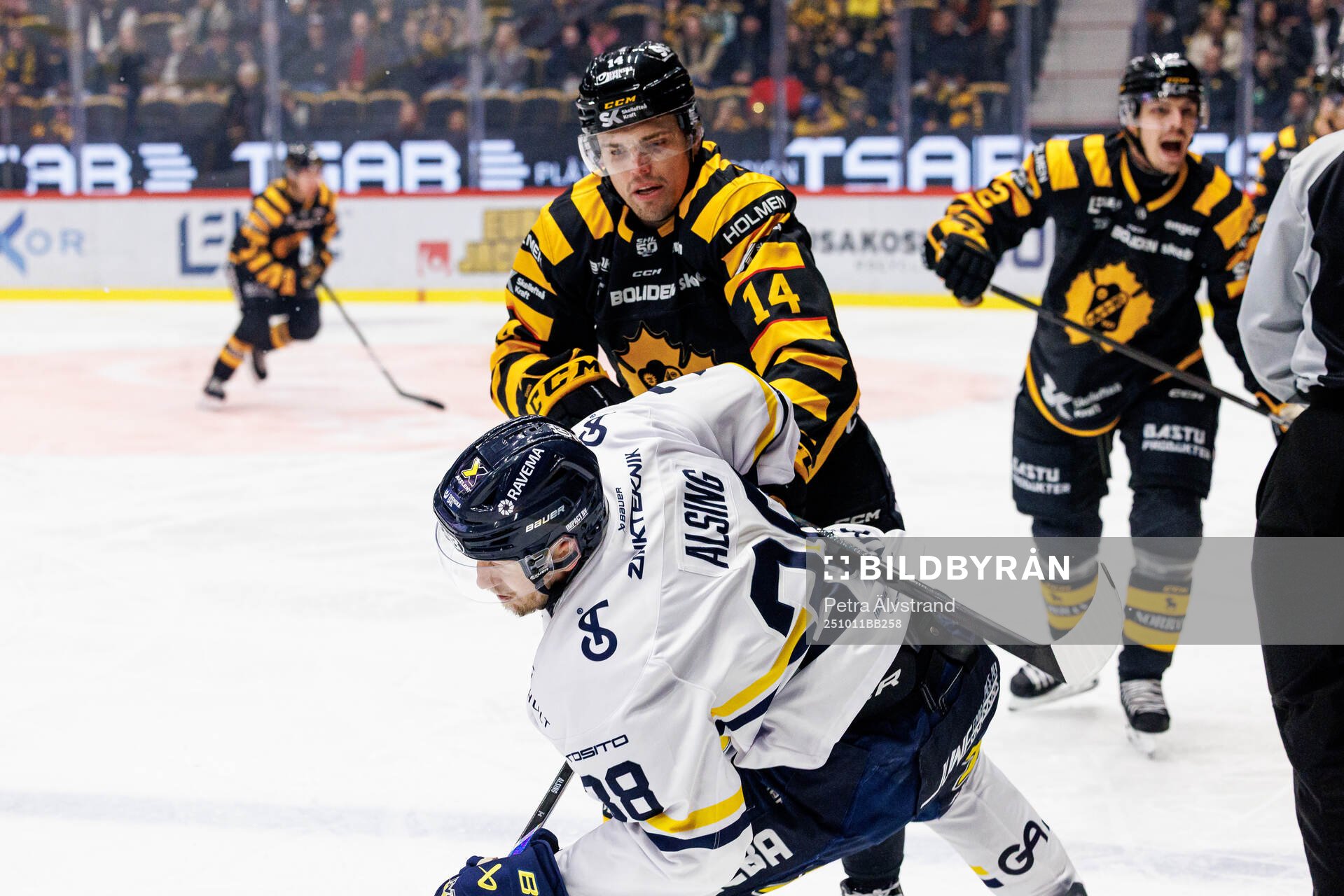 Skellefteås Andreas Johnson och HV71s Olle Alsing