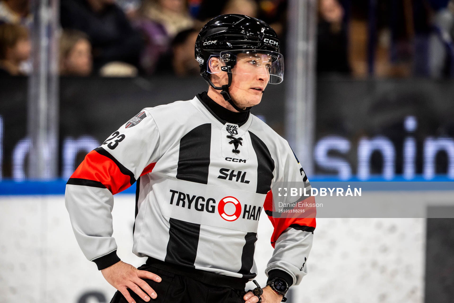Domare Oscar Niklasson