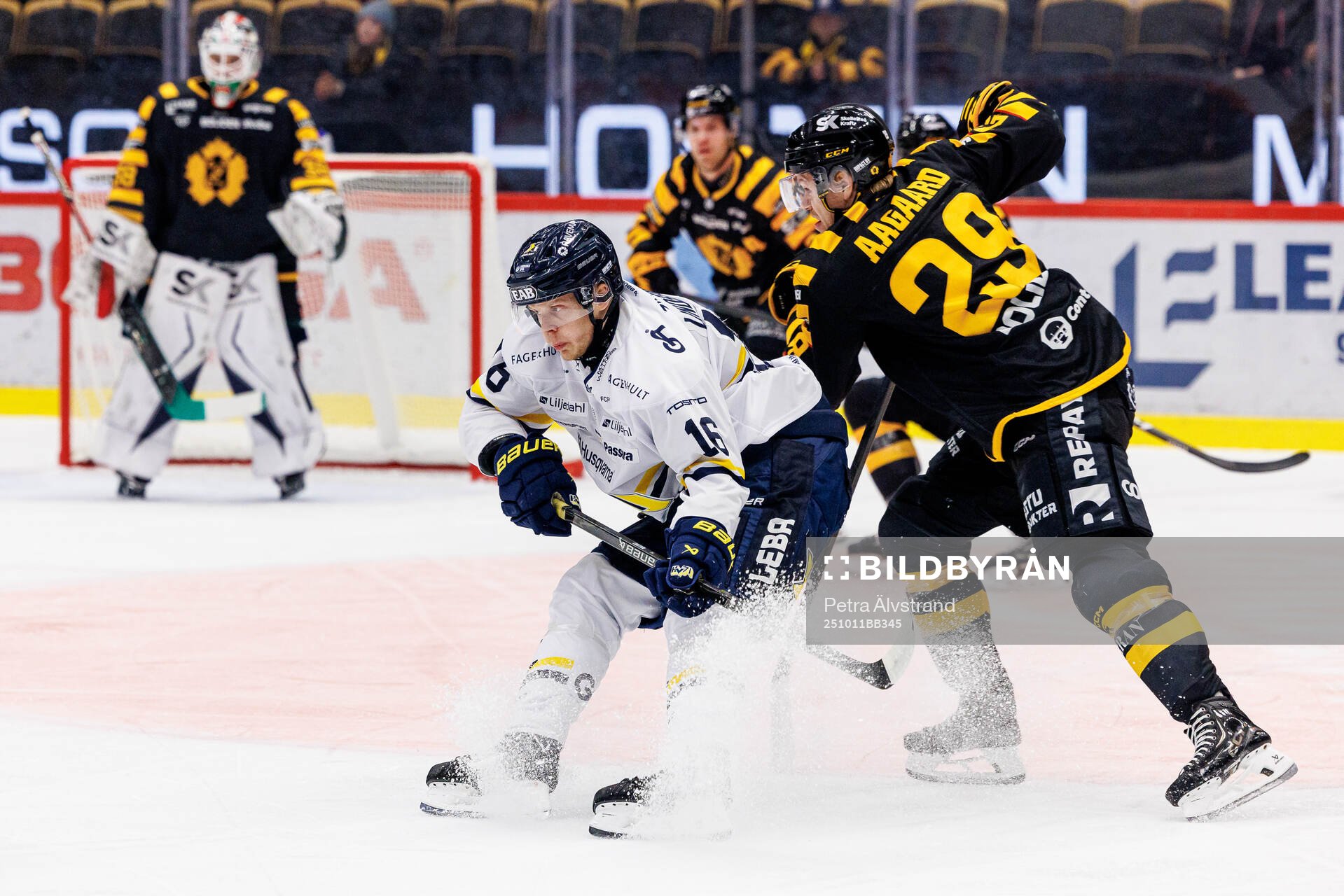 HV71s Linus Lindström och Skellefteås Mikkel Aagaard