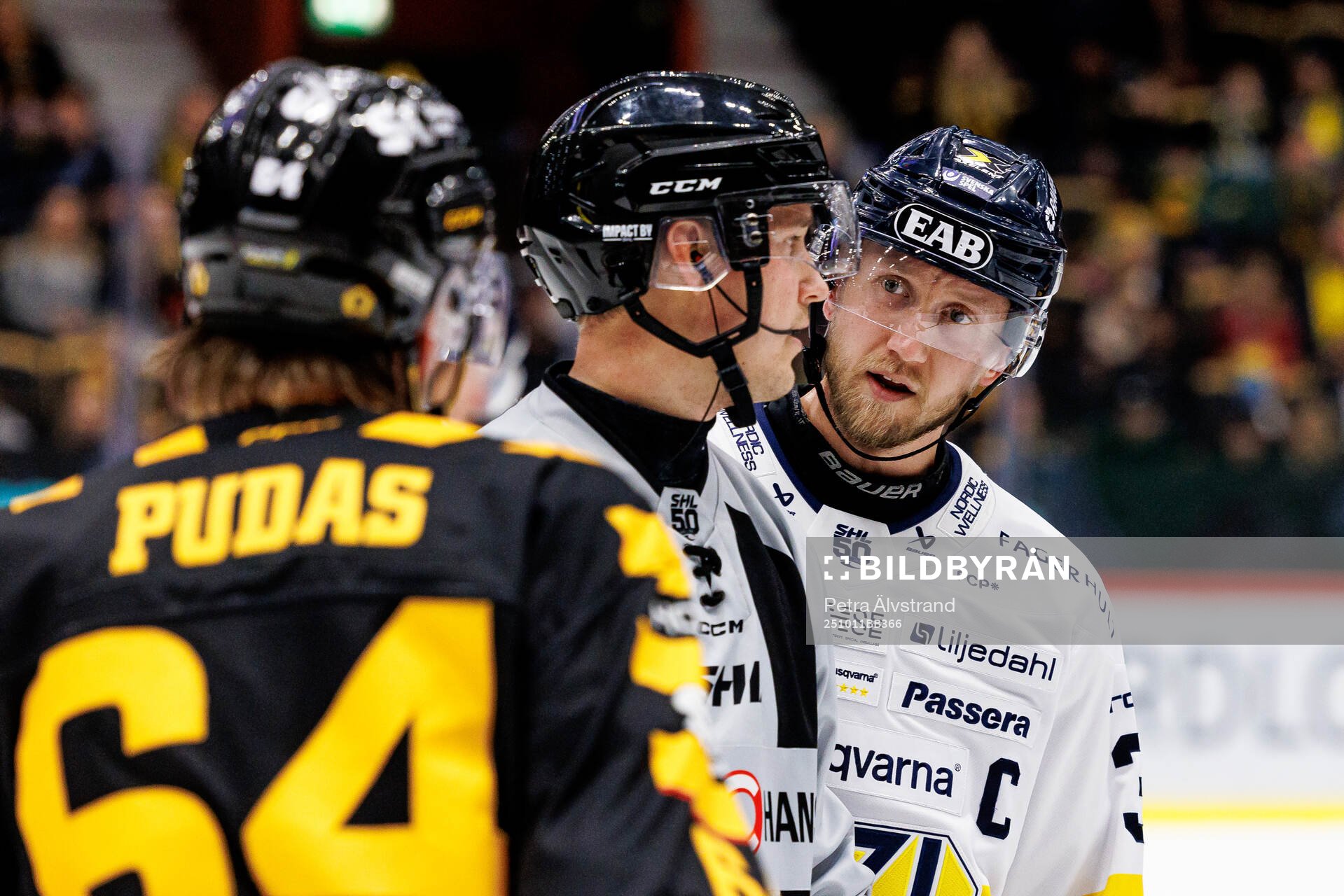 HV71s Olle Alsing