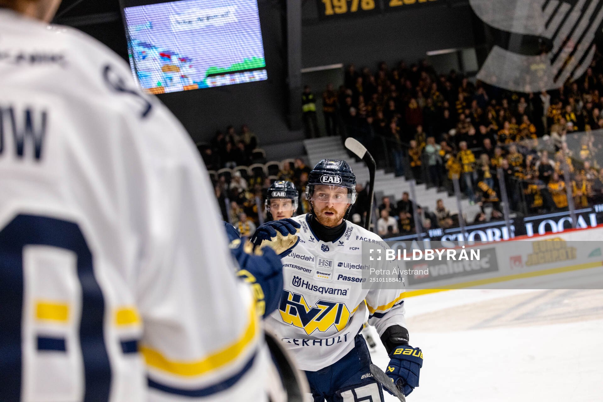 HV71s Riley Woods jublar
