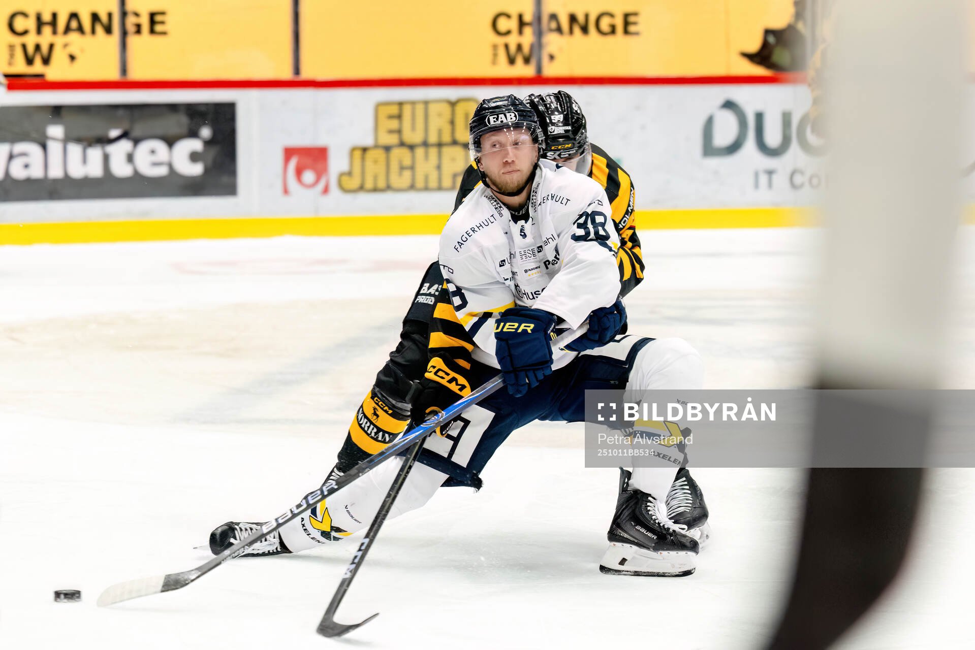 HV71s Olle Alsing