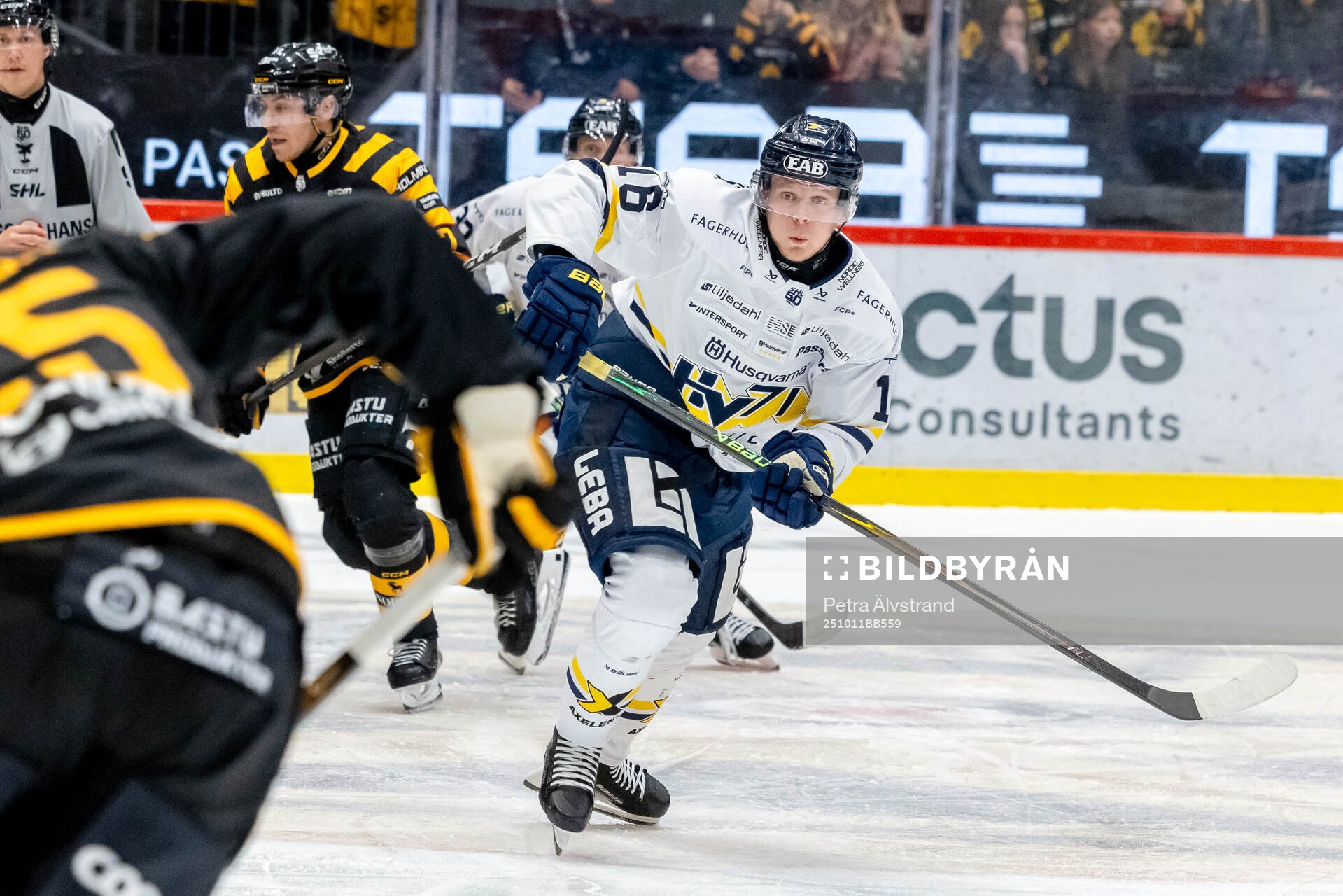 HV71s Linus Lindström