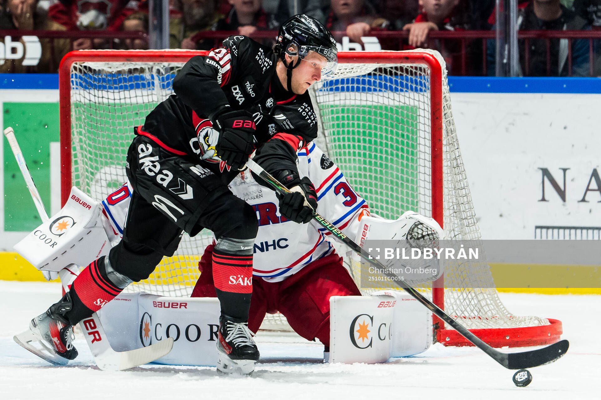 Malmö Redhawks Thomas Berg Paulsen och Timrås målvakt