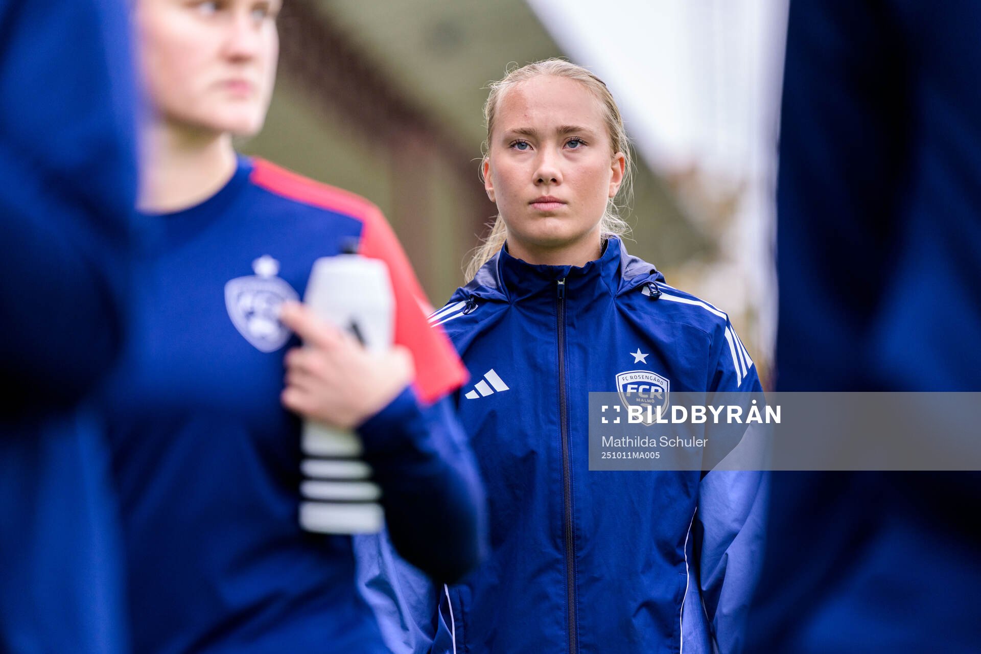 Rosengårds Lovisa Yng