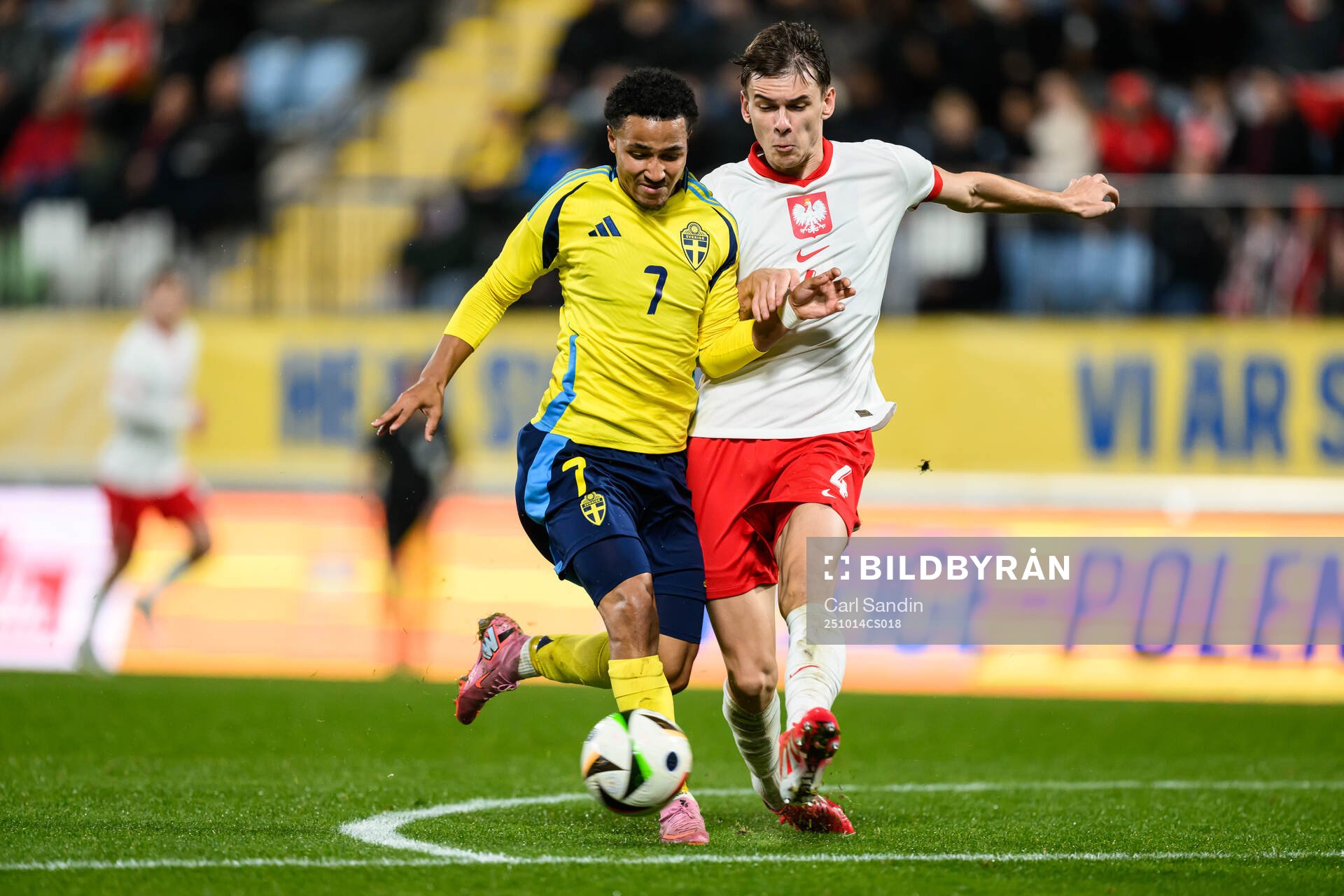 Momodou Sonko of Sweden and Milosz Matysik of Poland