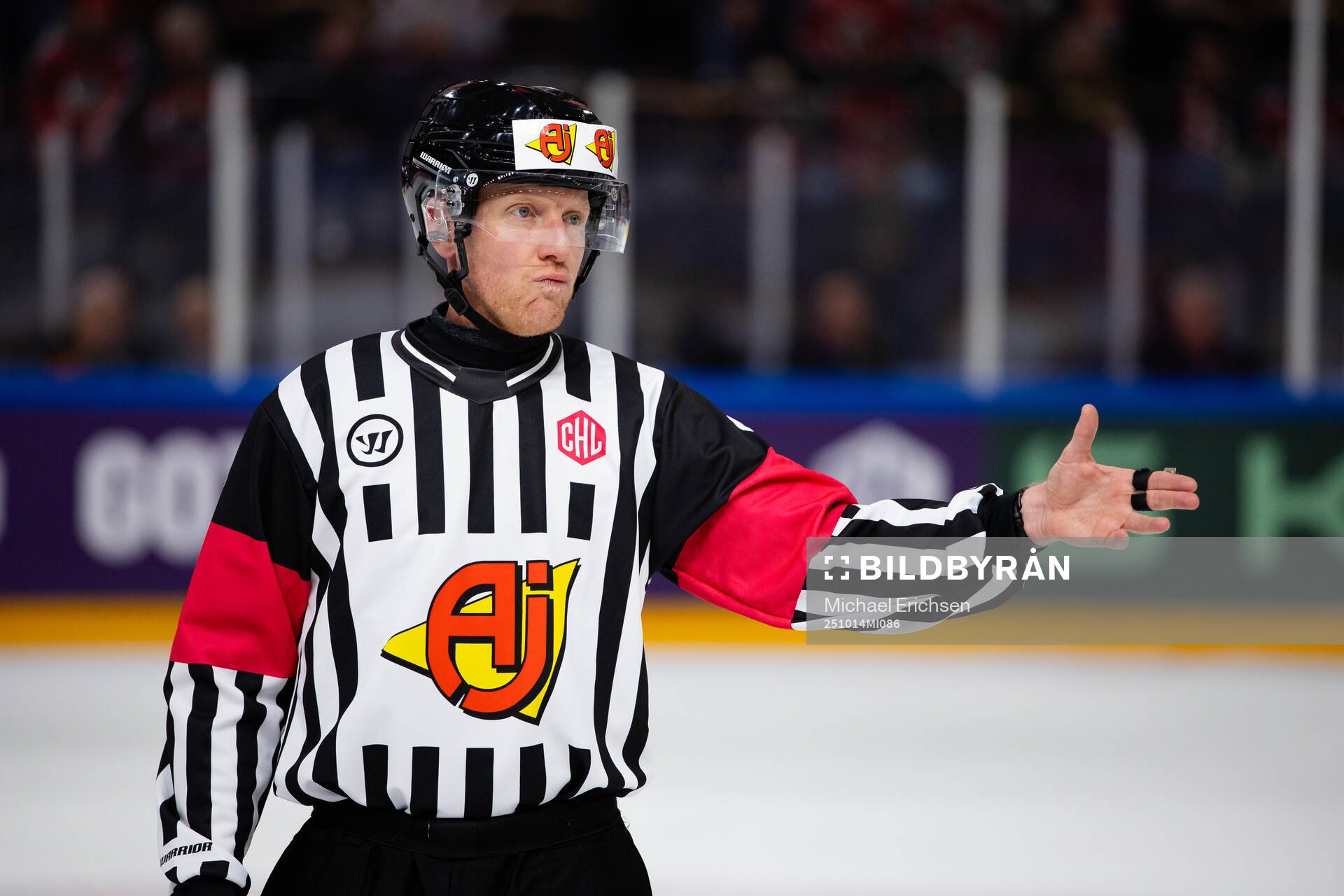 Referee Mikael Holm