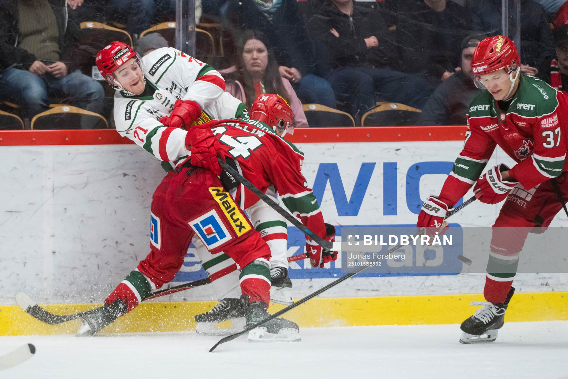 Moras Travis Treloar och Modos Hugo Hallin