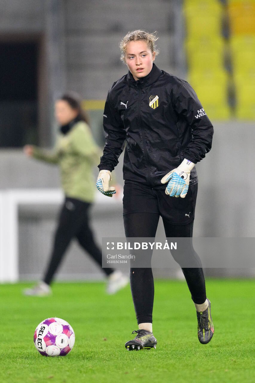 Goalkeeper Fanney Birkisdottir