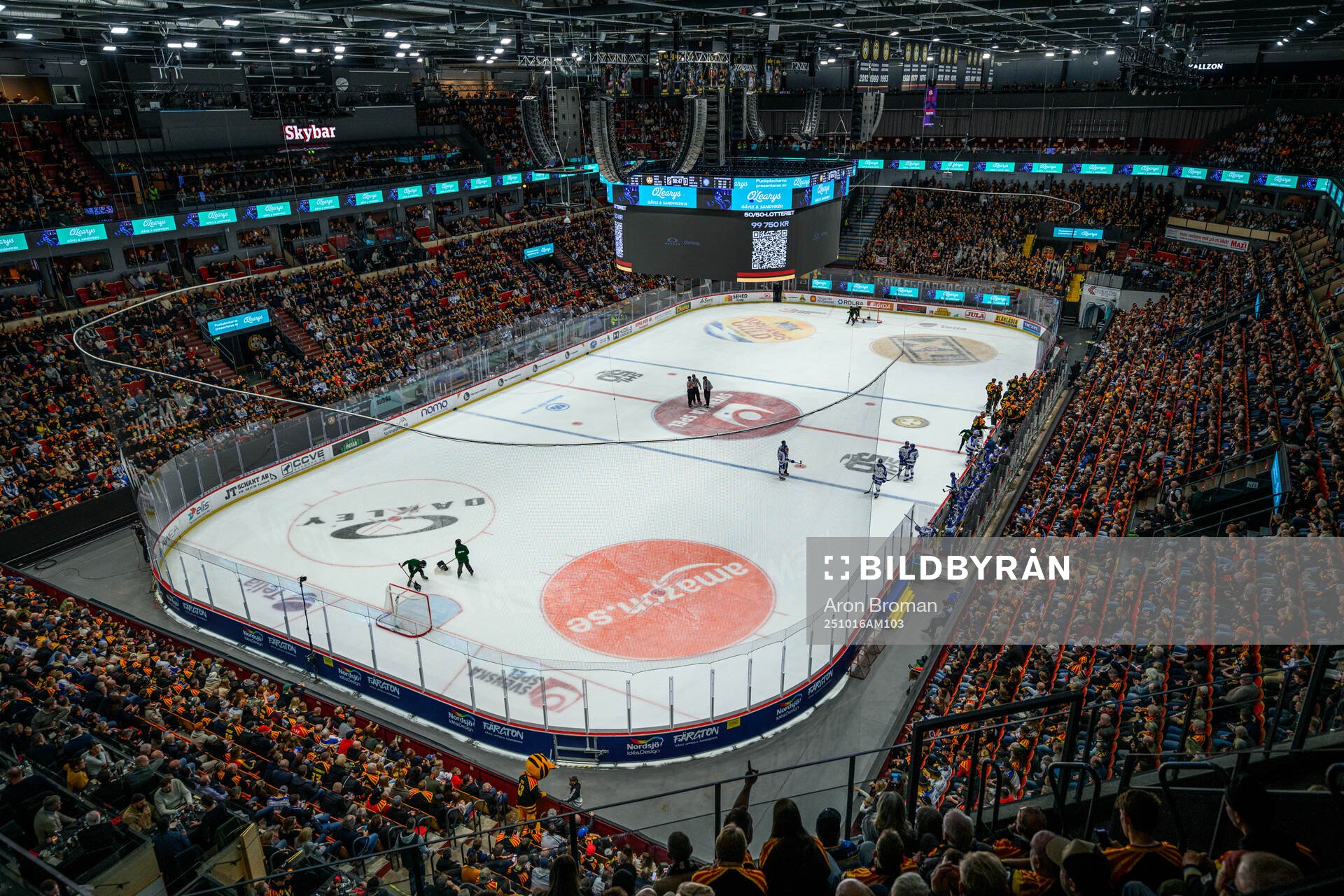 Monitor ERP Arena