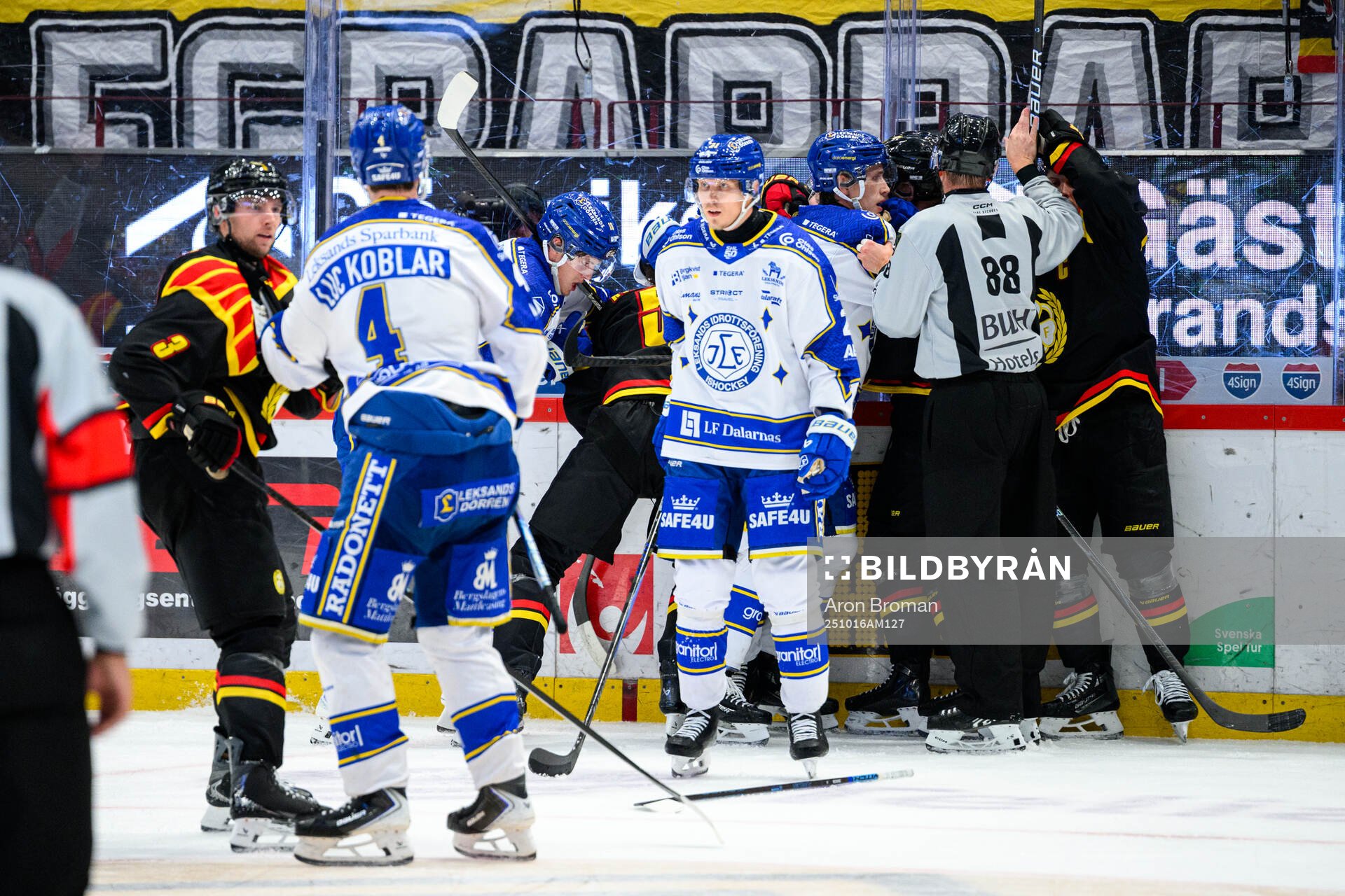 Brynäs och Leksands spelare