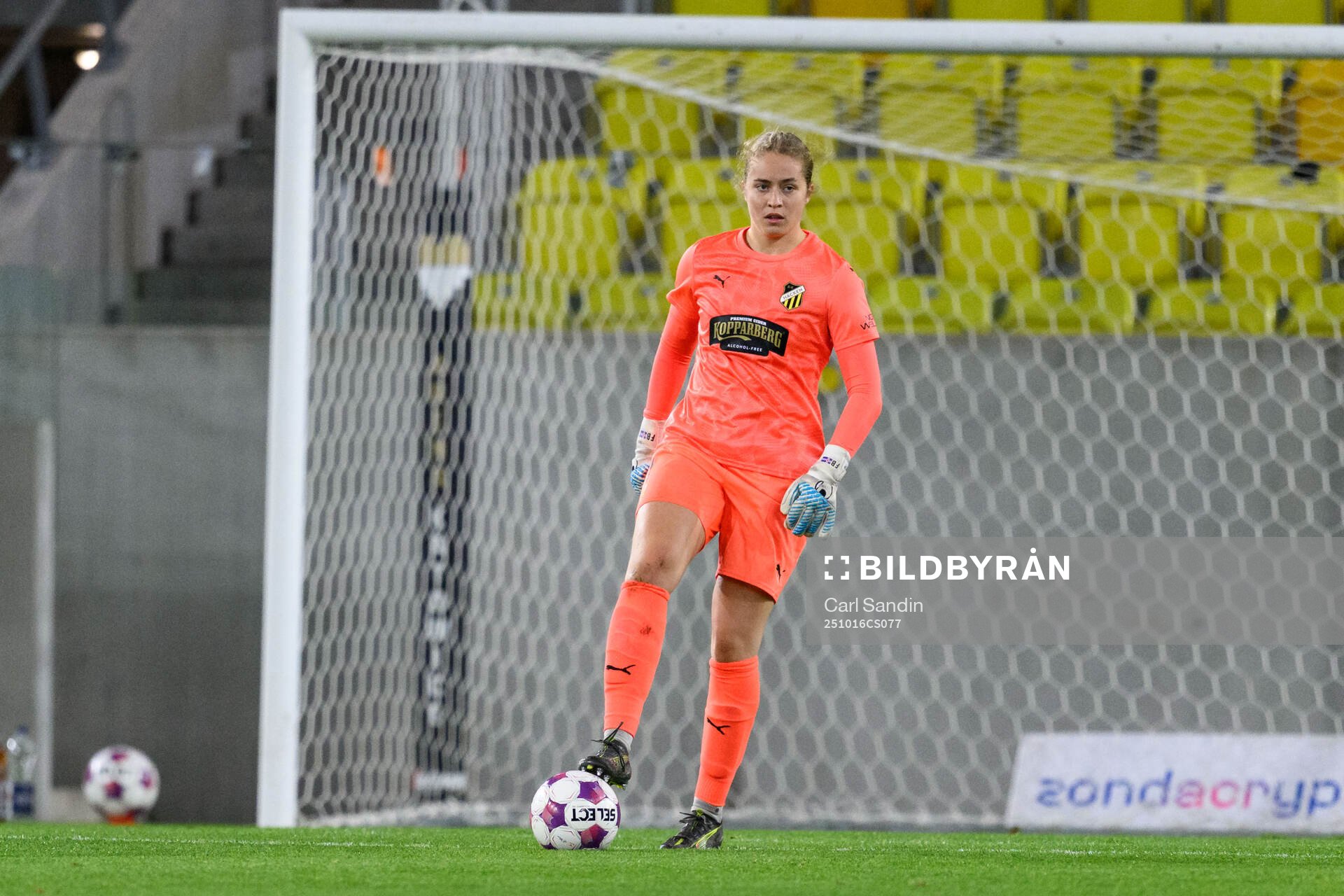 Goalkeeper Fanney Birkisdottir of Häcken