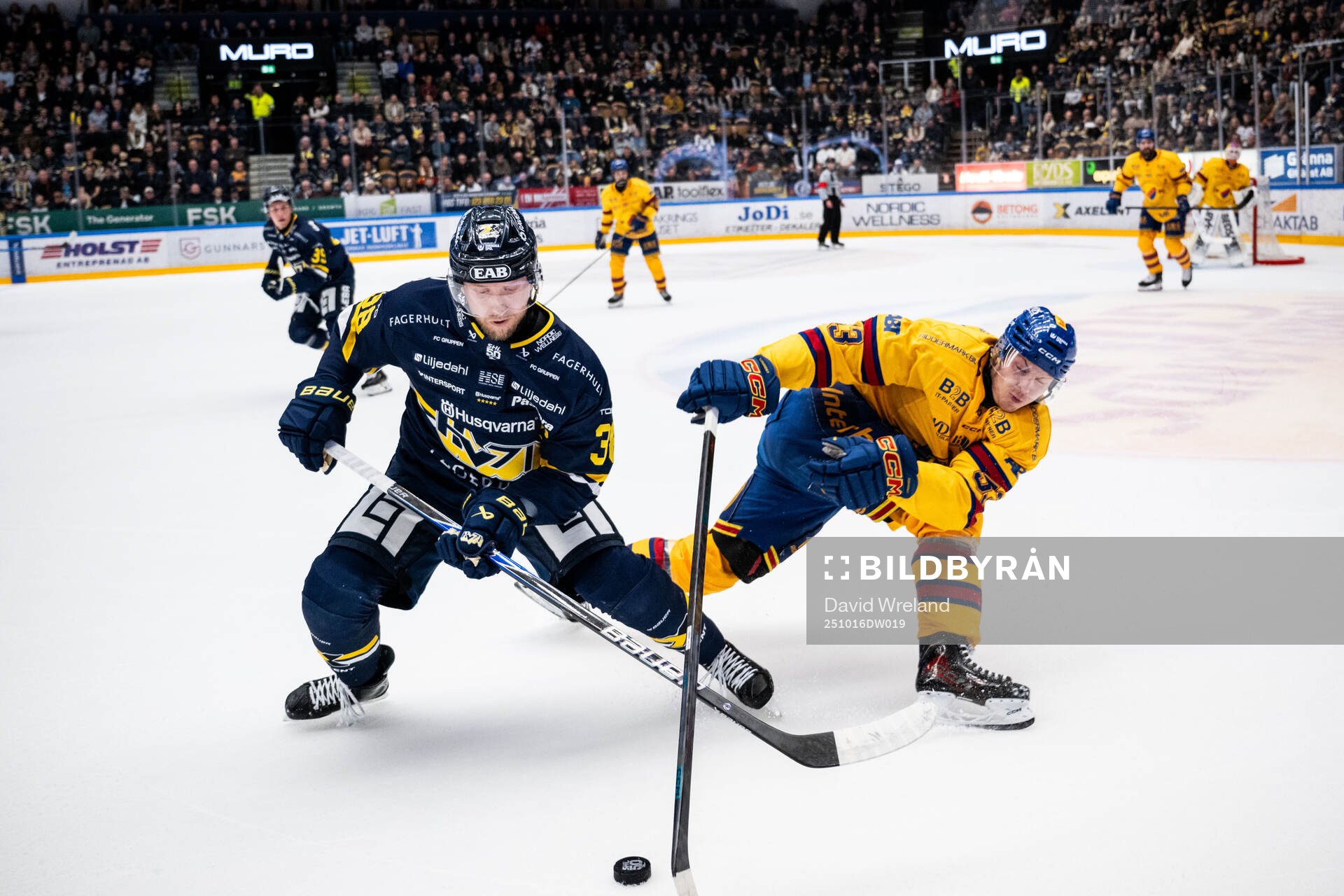 HV71s Olle Alsing och Djurgårdens David Blomgren