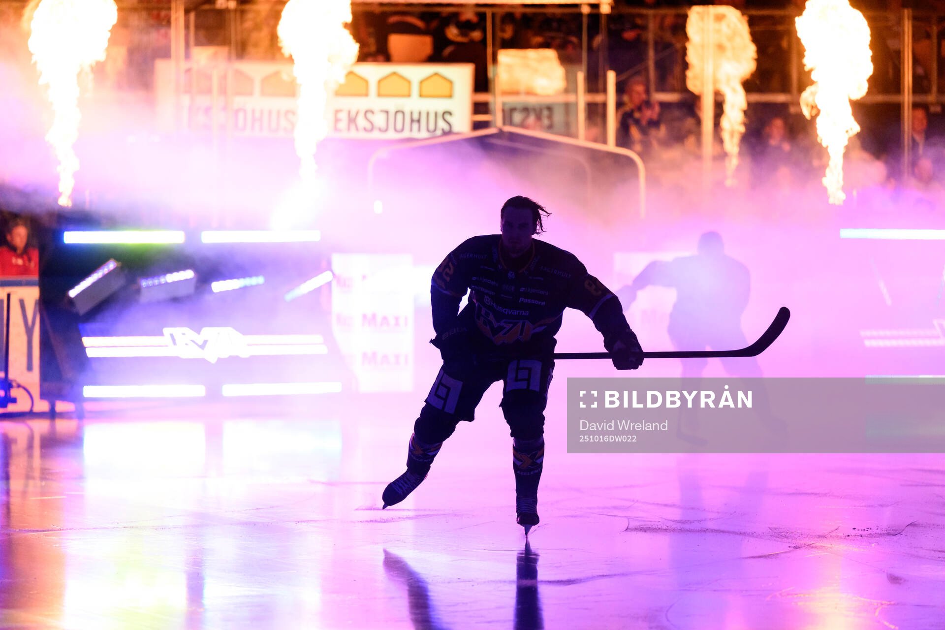 HV71s spelare äntrar isen