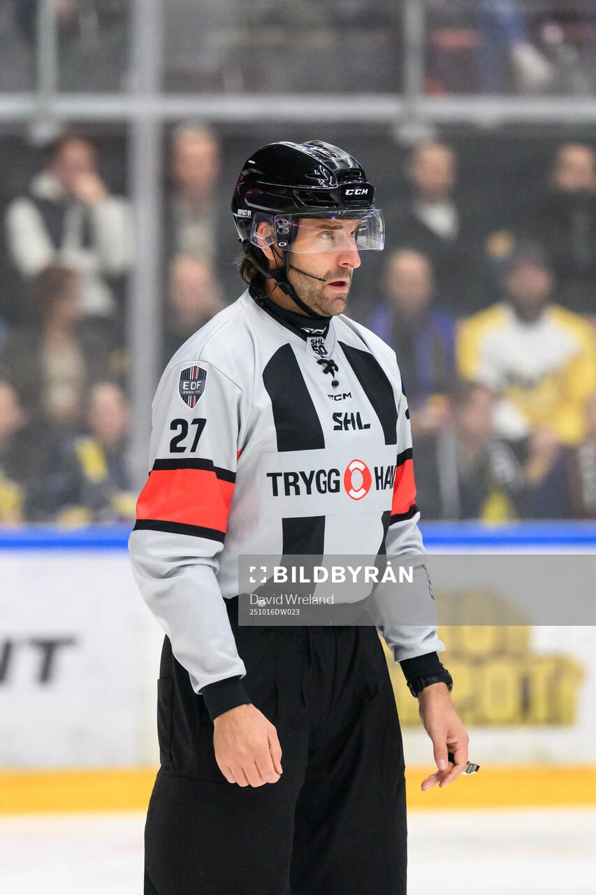 Domare Mikael Sjöqvist