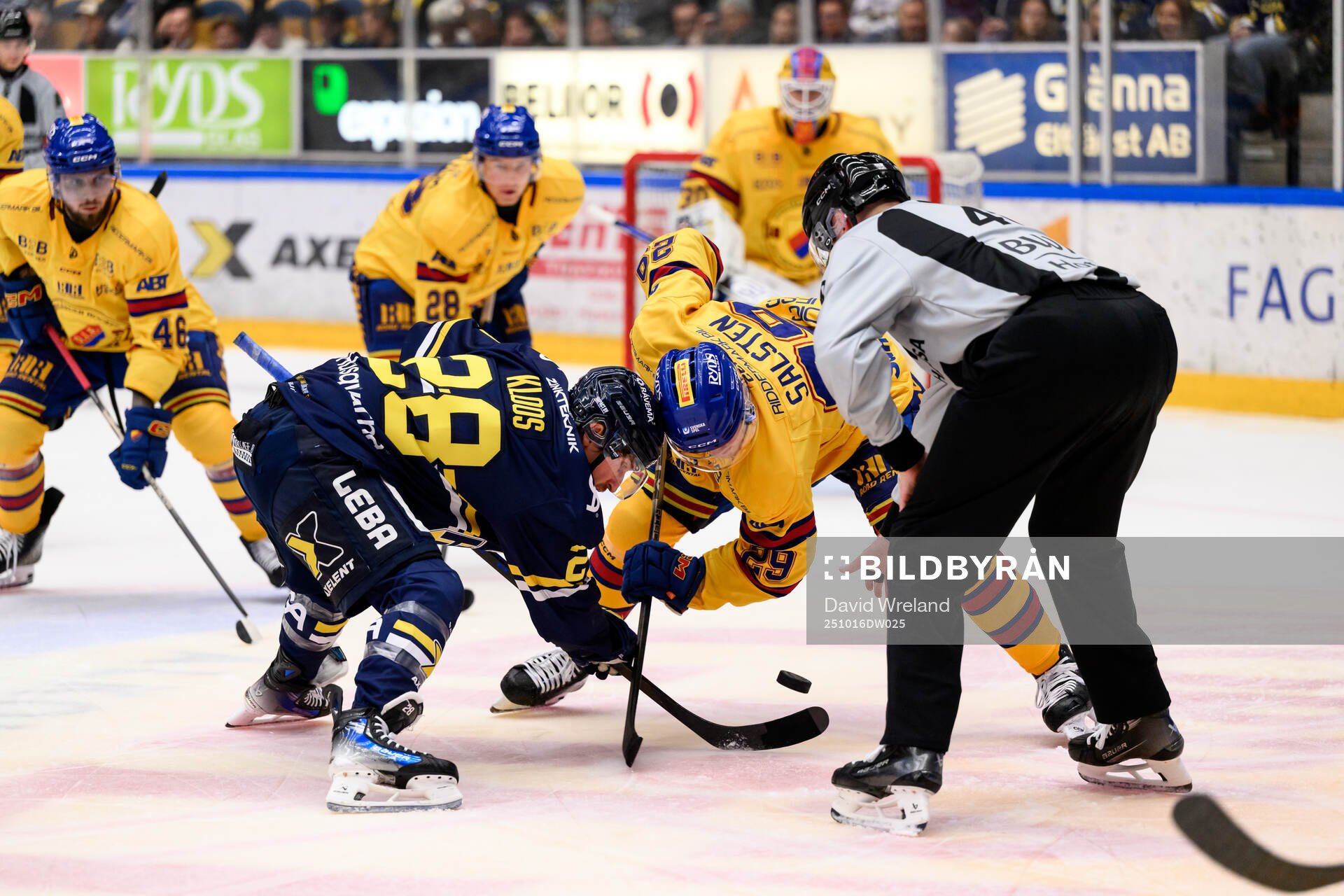 HV71s Justin Glenn Kloos och Djurgårdens Håvard Salsten