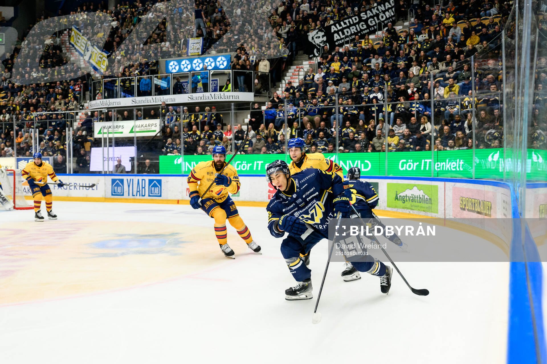 HV71s Jonathan Ang