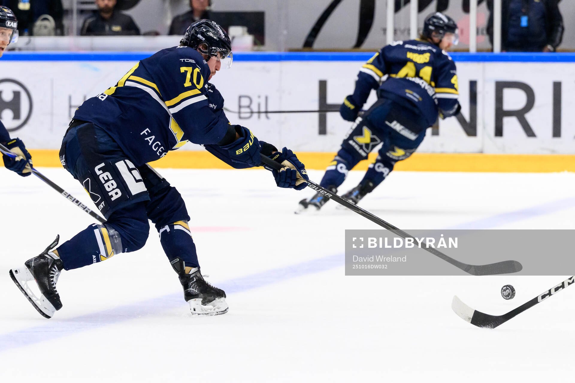 HV71s Lukas Rousek