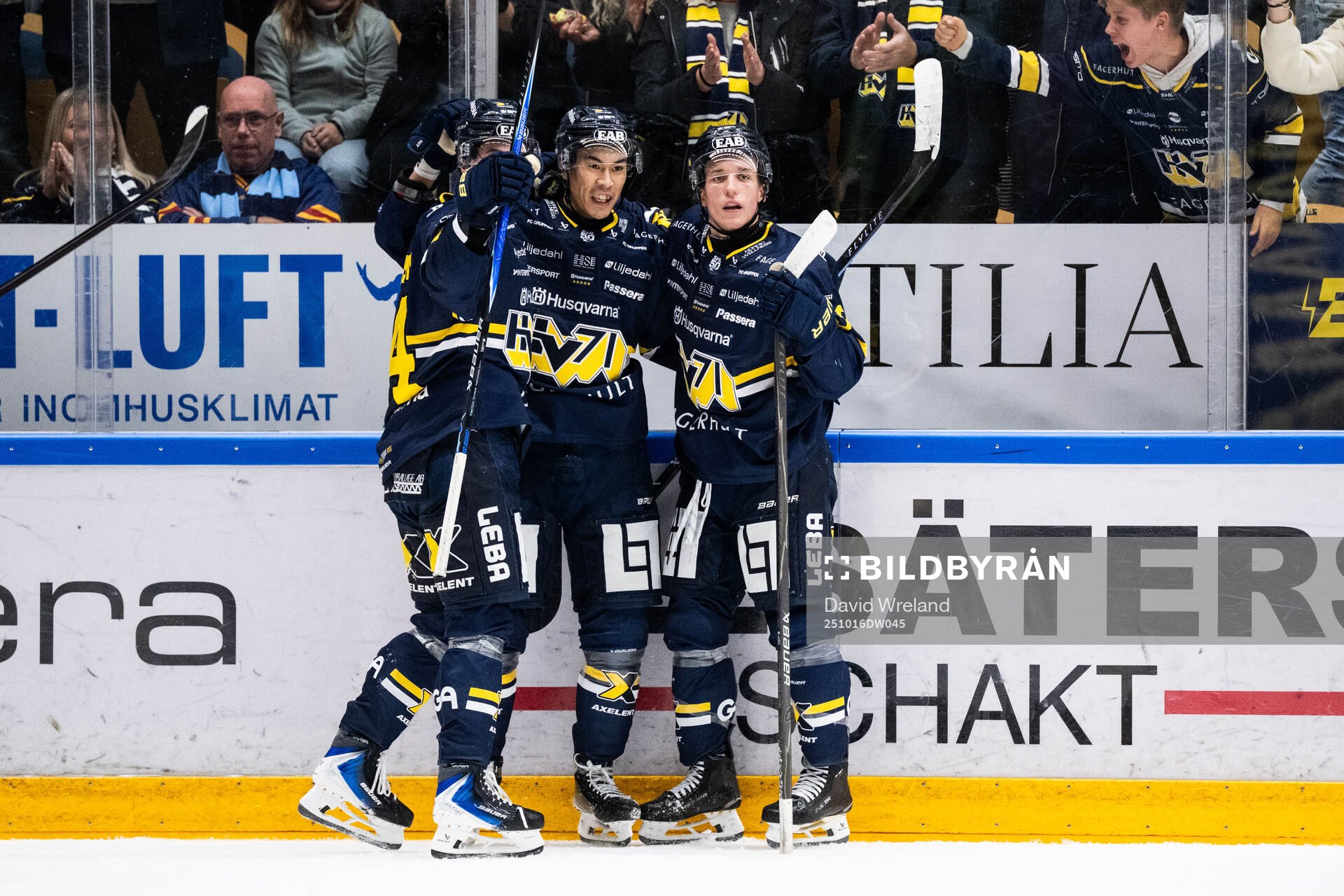 HV71s Jonathan Ang jublar