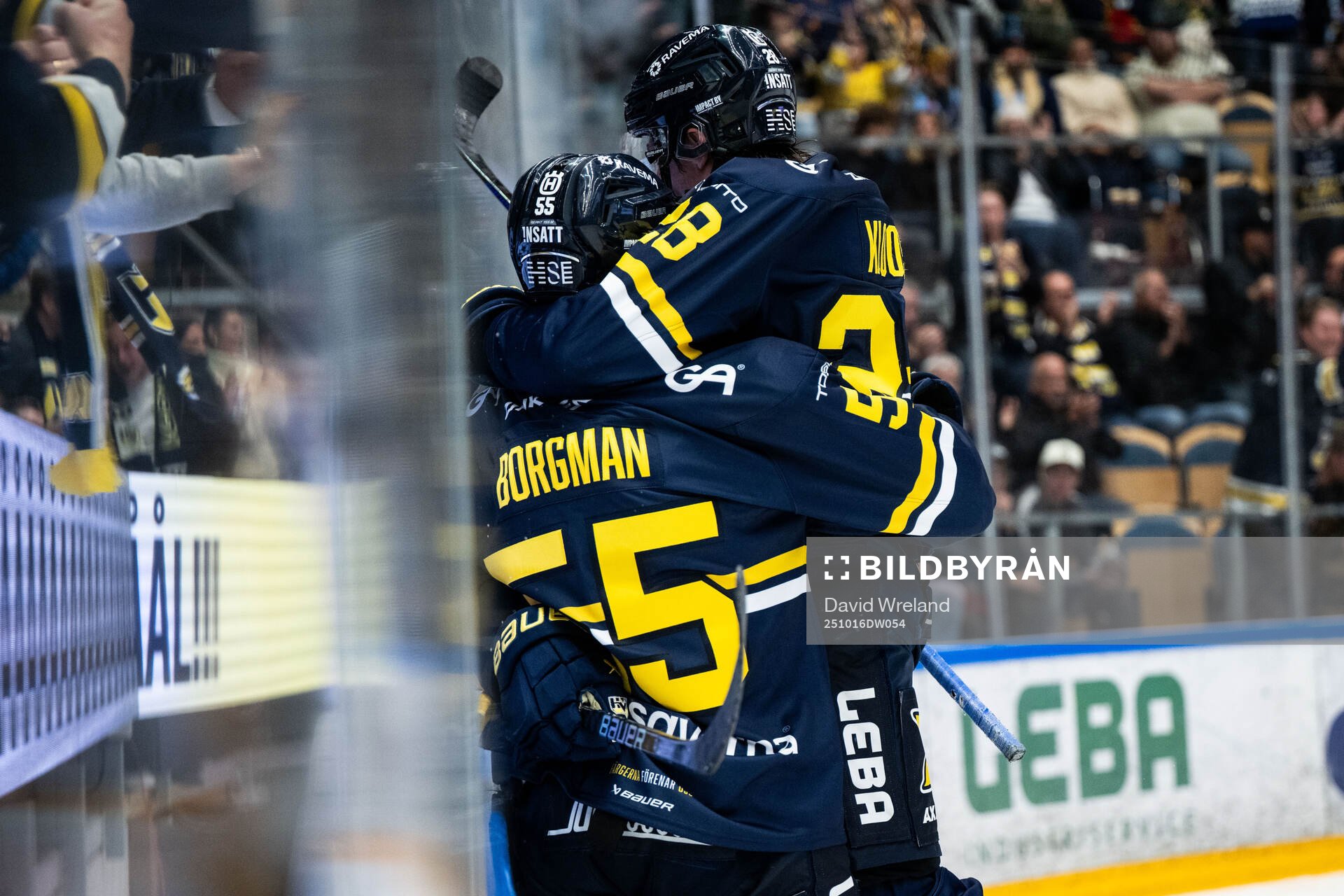 HV71s Riley Woods jublar med Justin Glenn Kloos