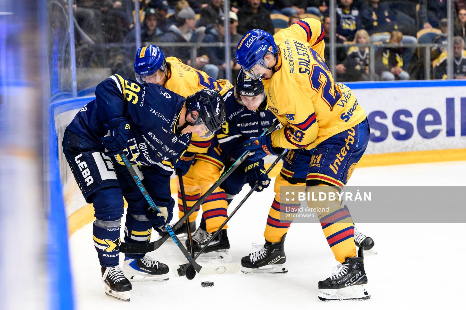 HV71s Nikola Pasic och Djurgårdens Håvard Salsten