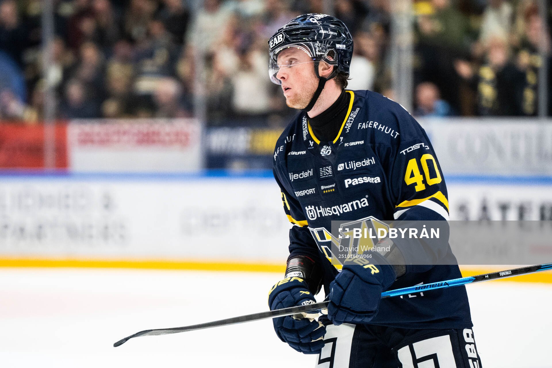 HV71s Oskar Stål-Lyrenäs jublar