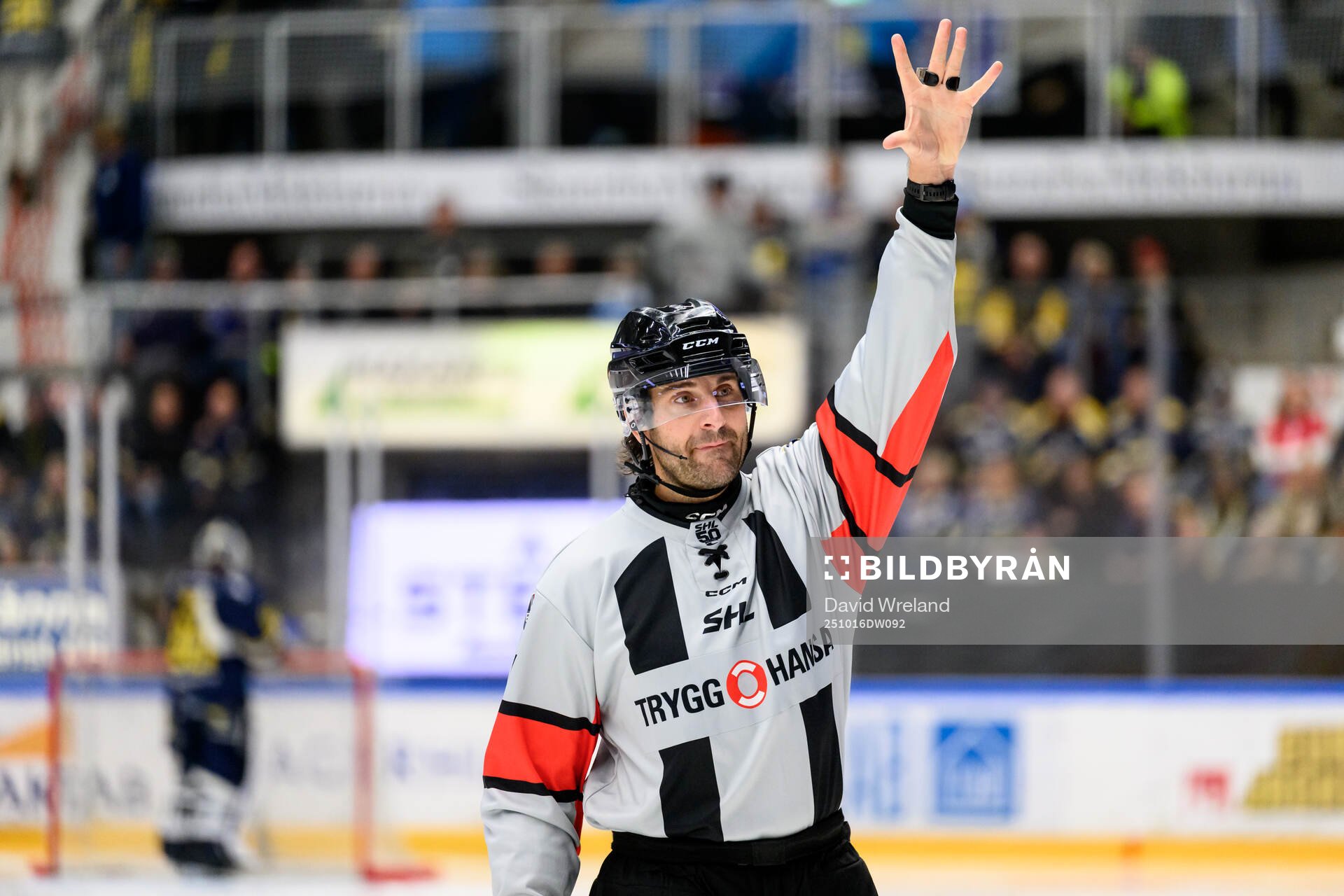 Domare Mikael Sjöqvist