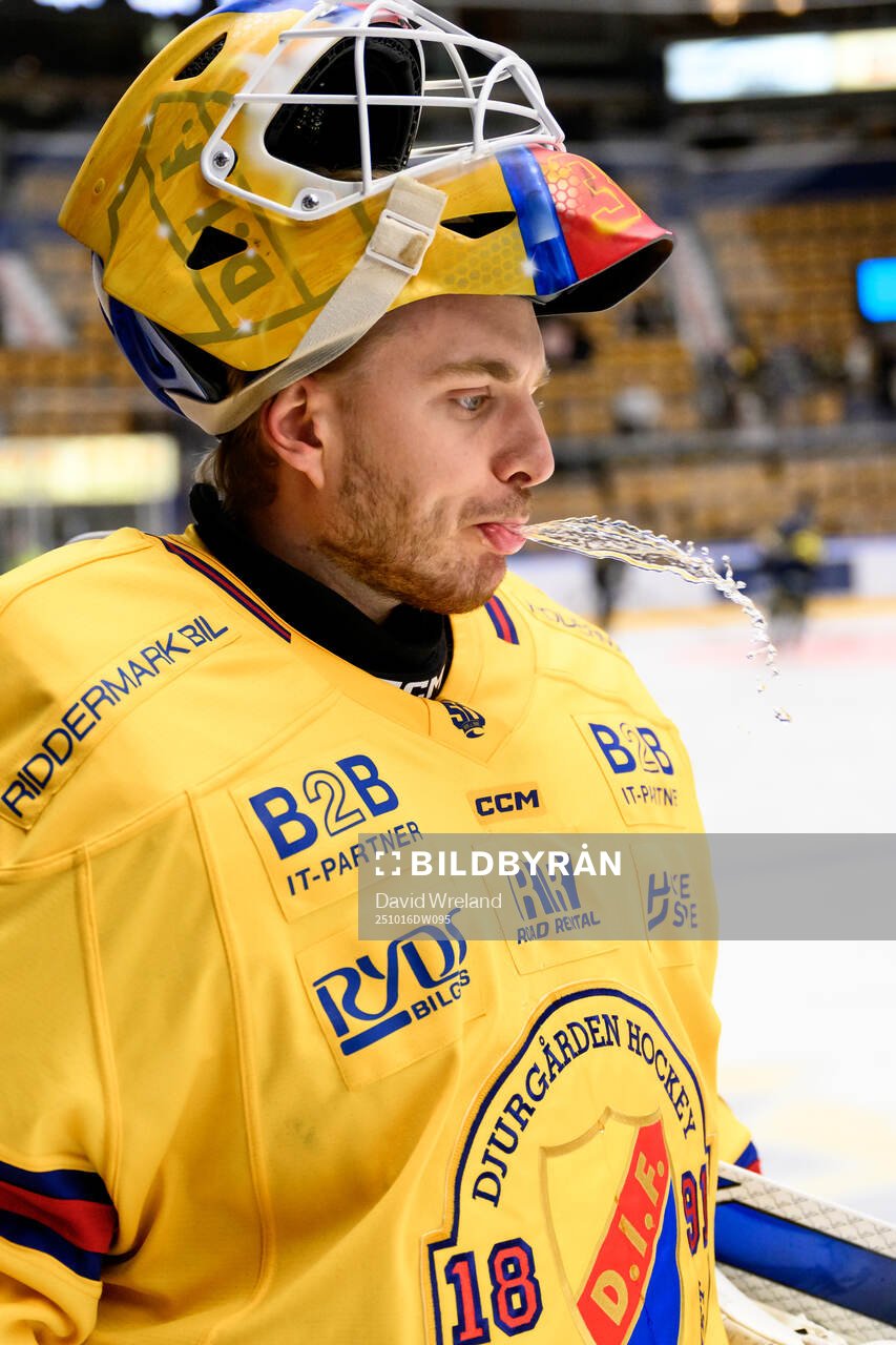 Djurgårdens målvakt Hugo Hävelid