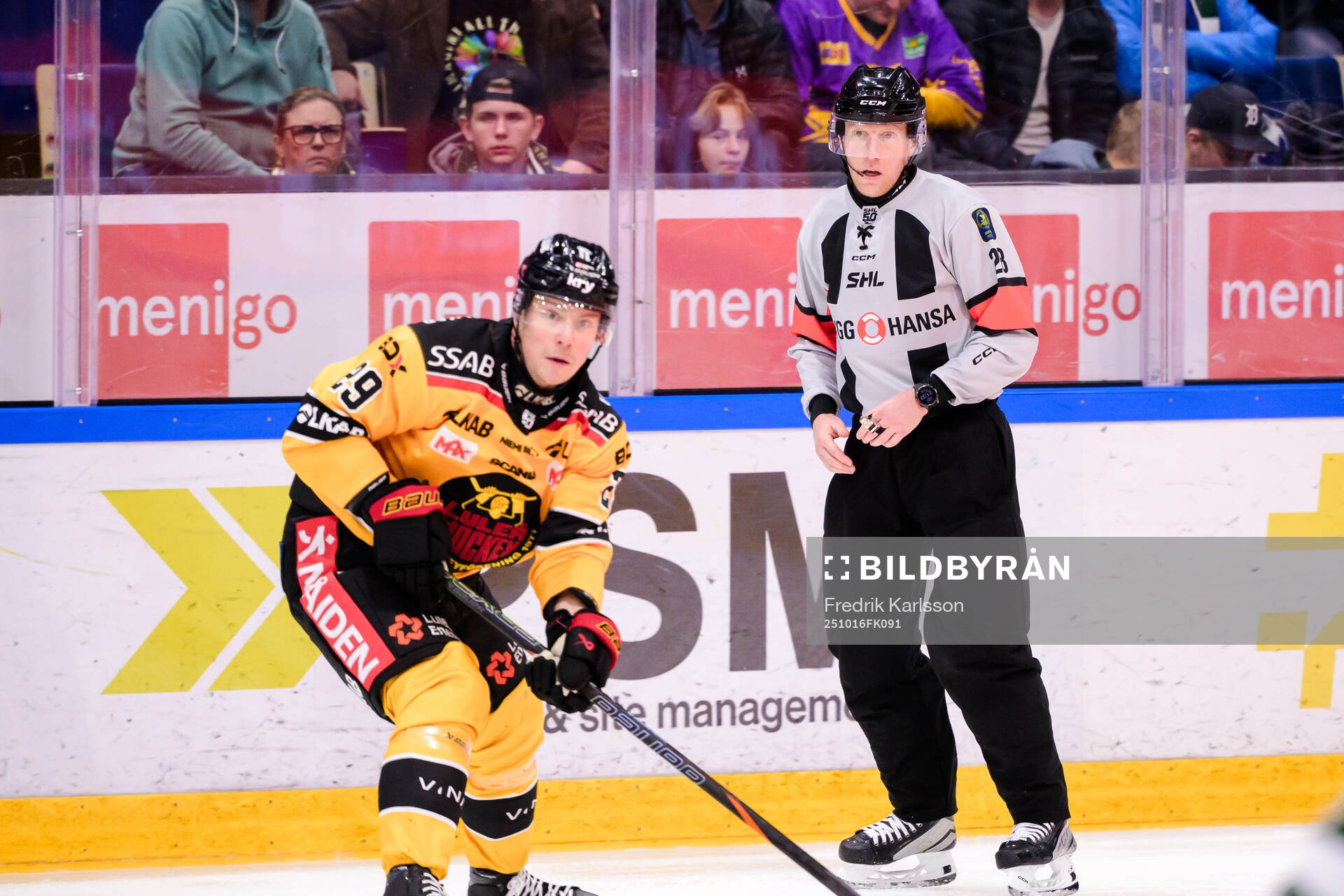 domare Mikael Holm