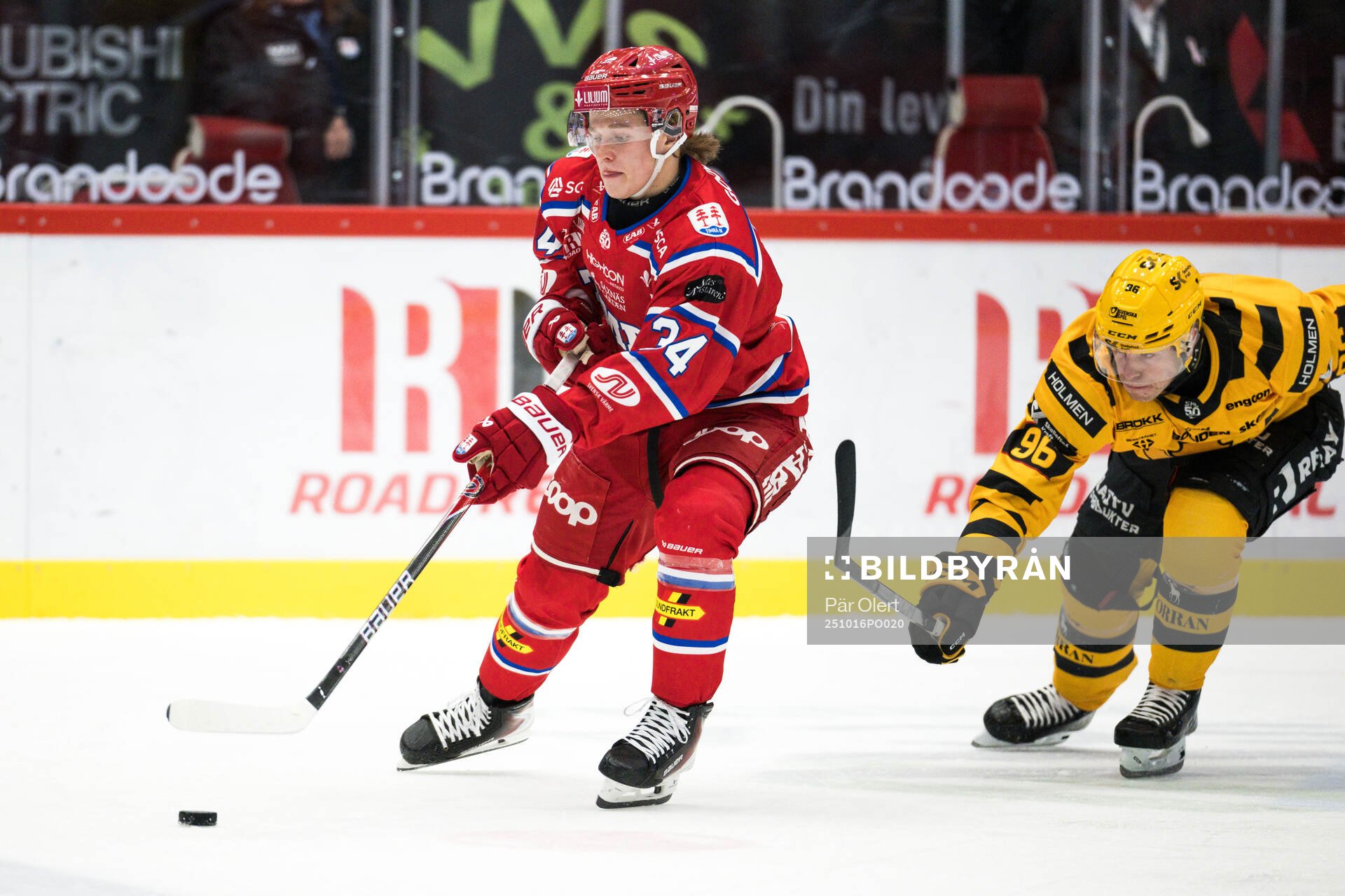Timrås Alfons Freij och Skellefteås Rickard Hugg