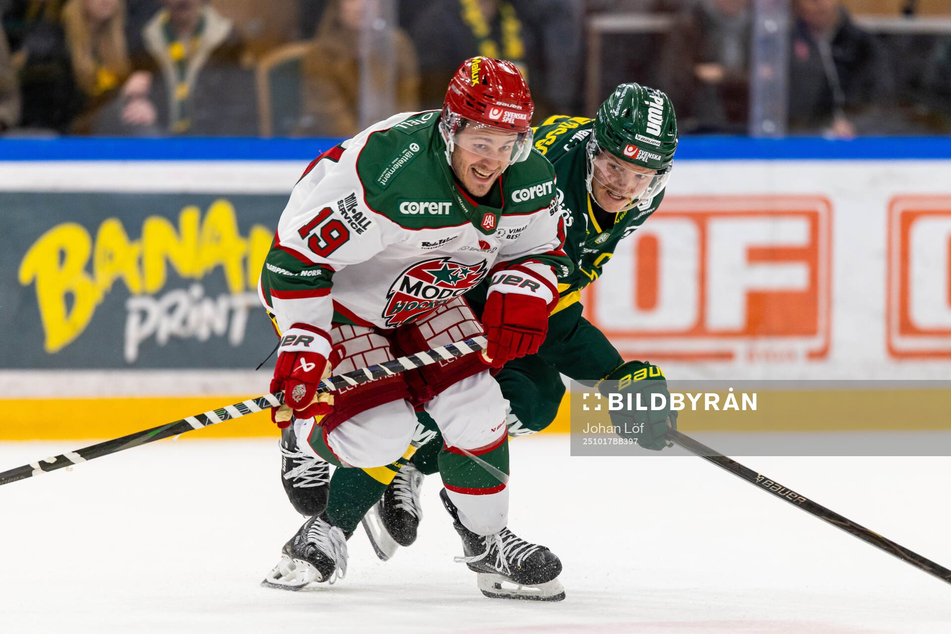 Modos Tyler Kelleher och Björklövens Axel Ottosson