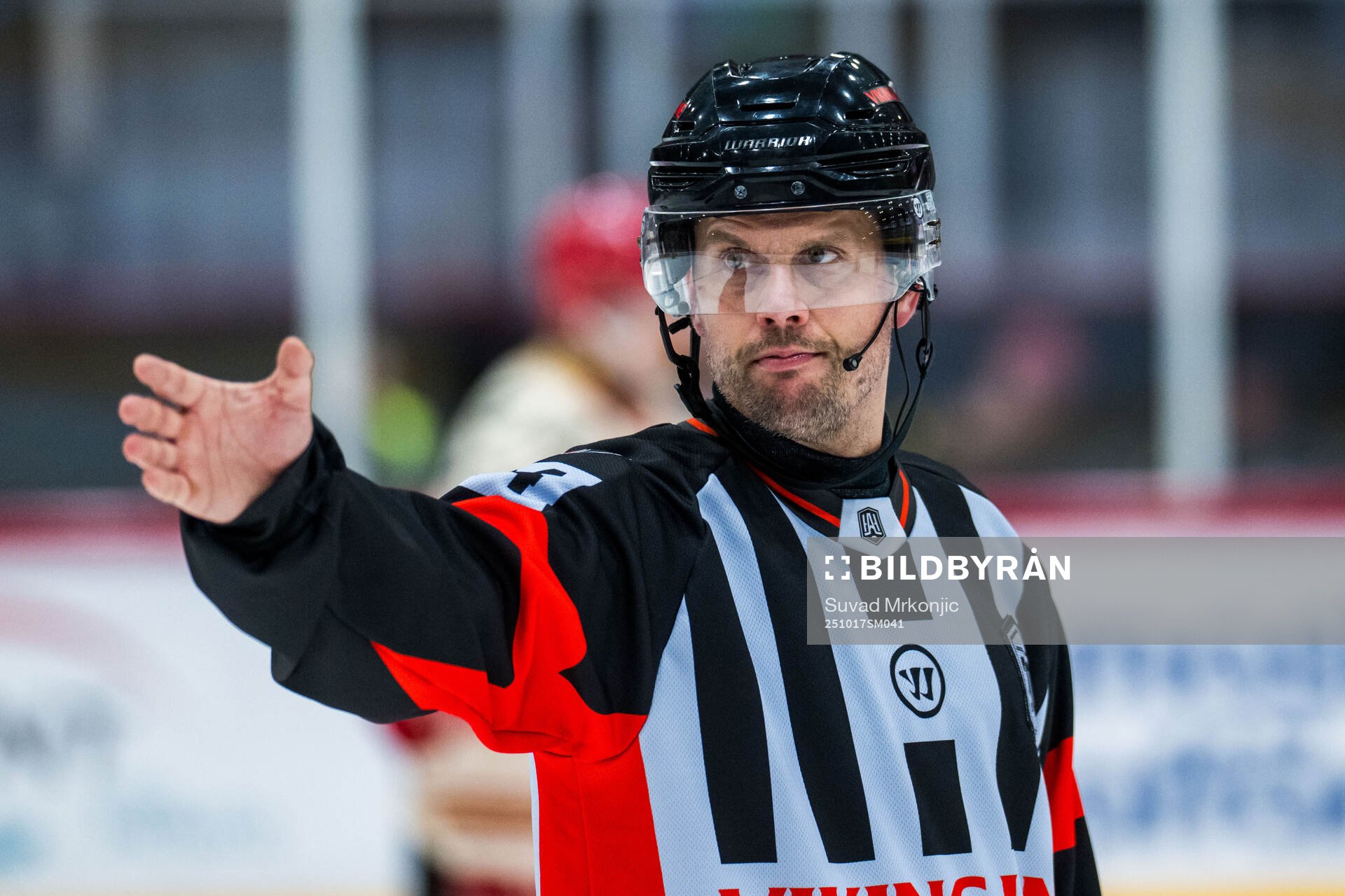 Domare Johan Magnusson