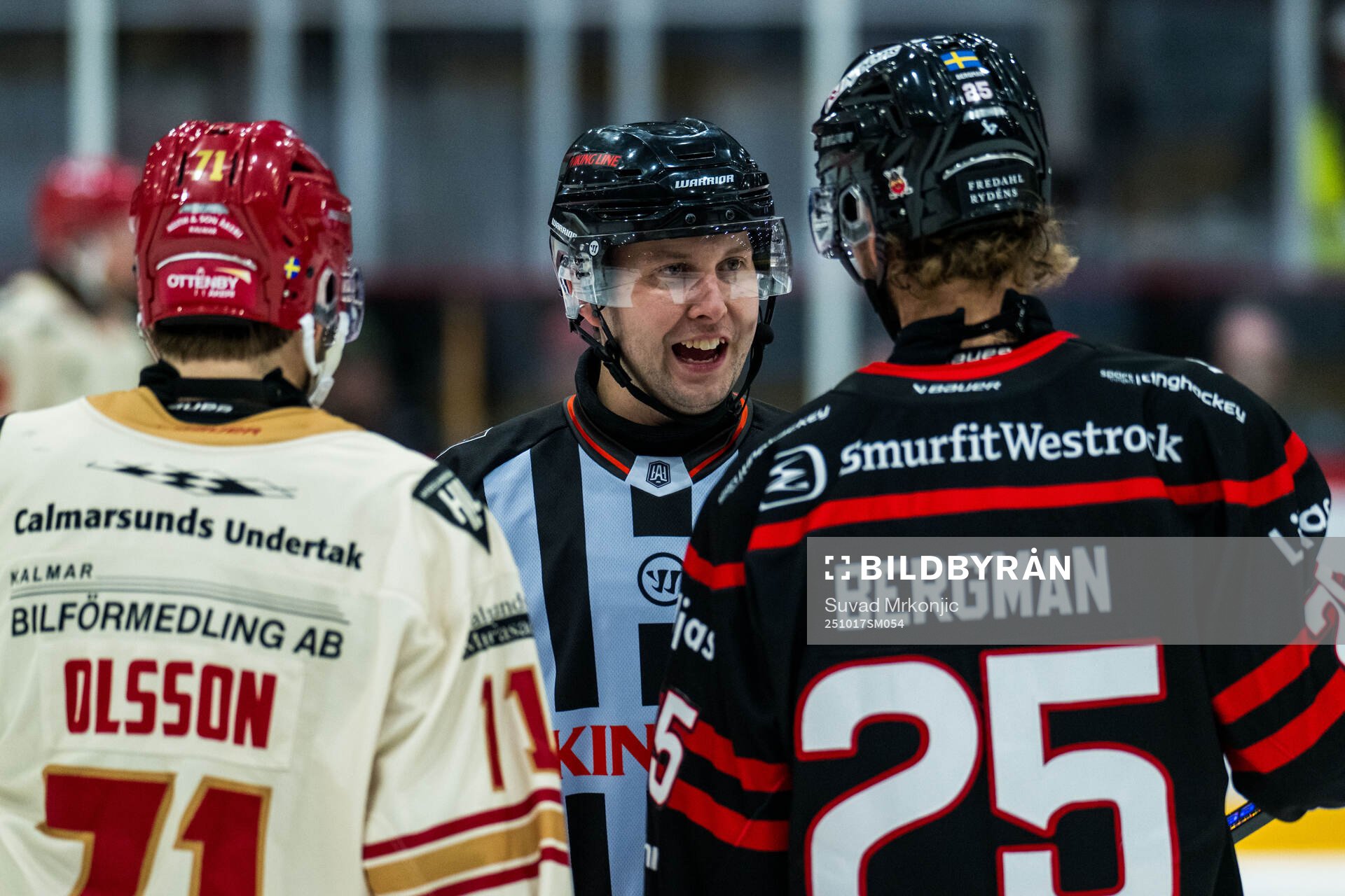 Domare Alex Eriksson