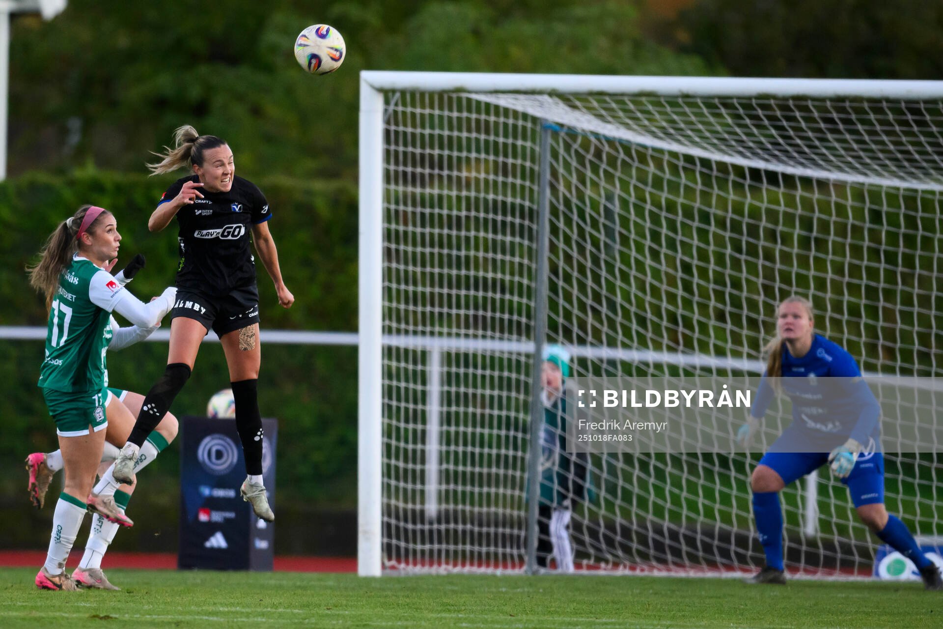 Växjö DFFs Larkin Russel