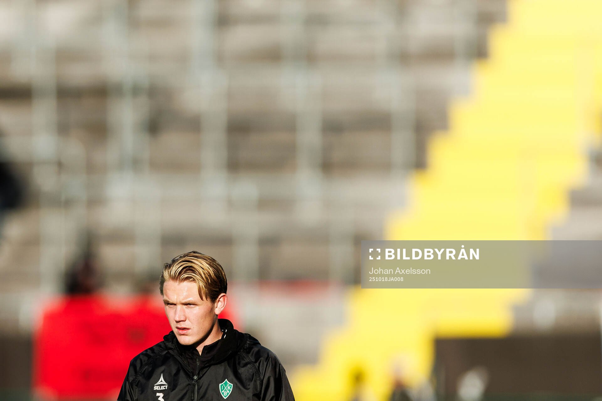 Brages Teodor Wålemark