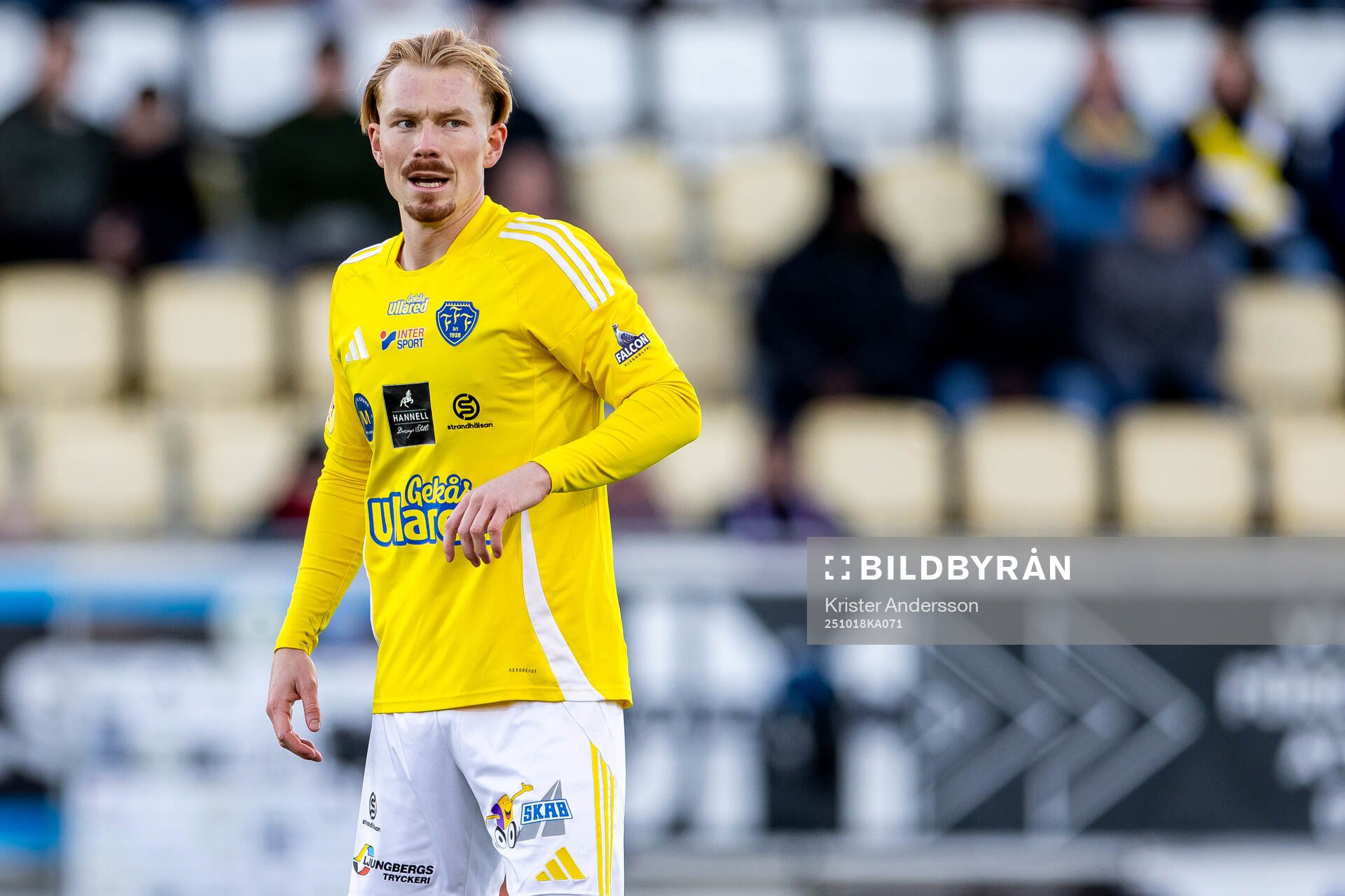 Falkenbergs Linus Borgström